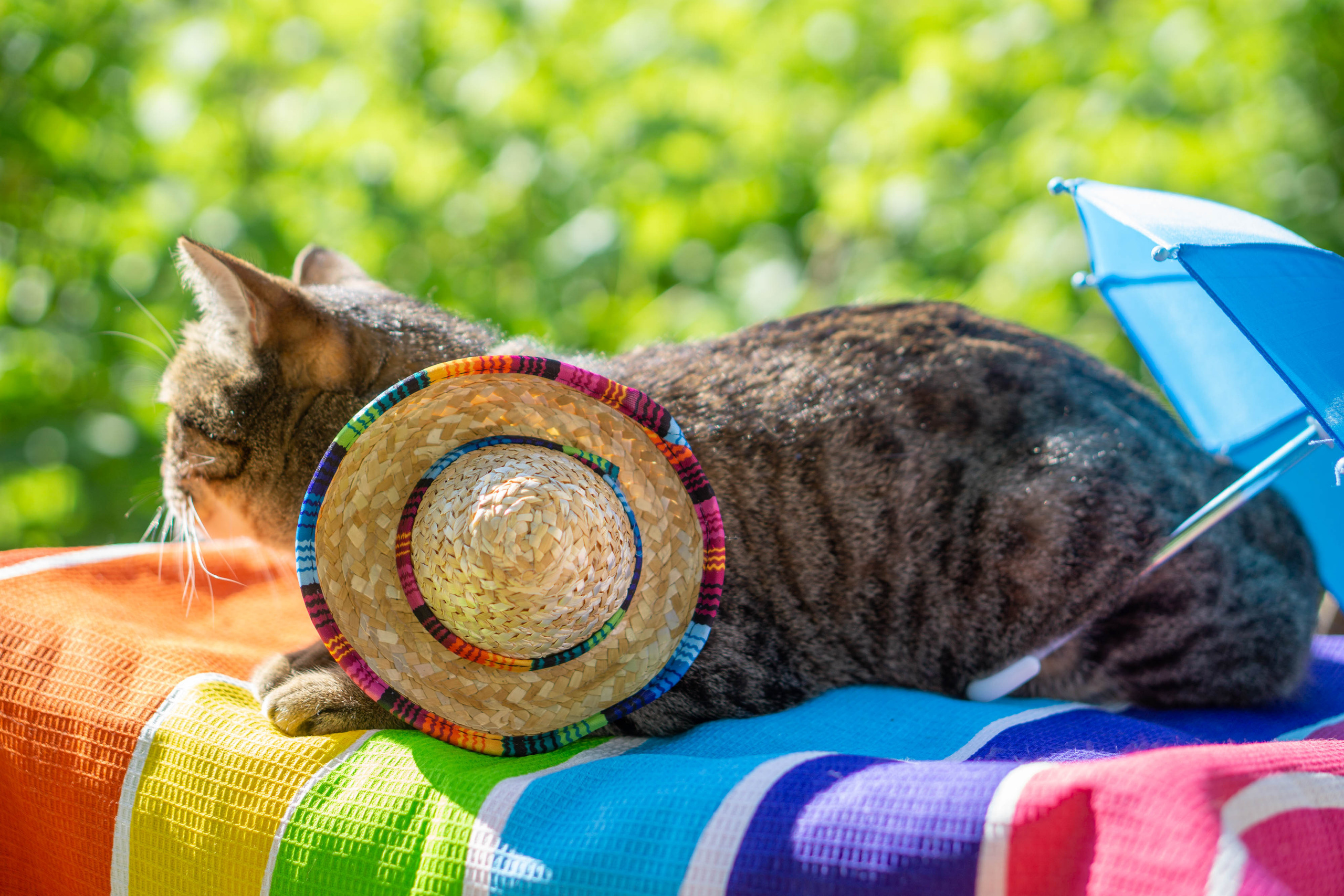 Хочу на БАЛИ!. Семейный и детский фотограф в Хабаровске Анна Гриневич