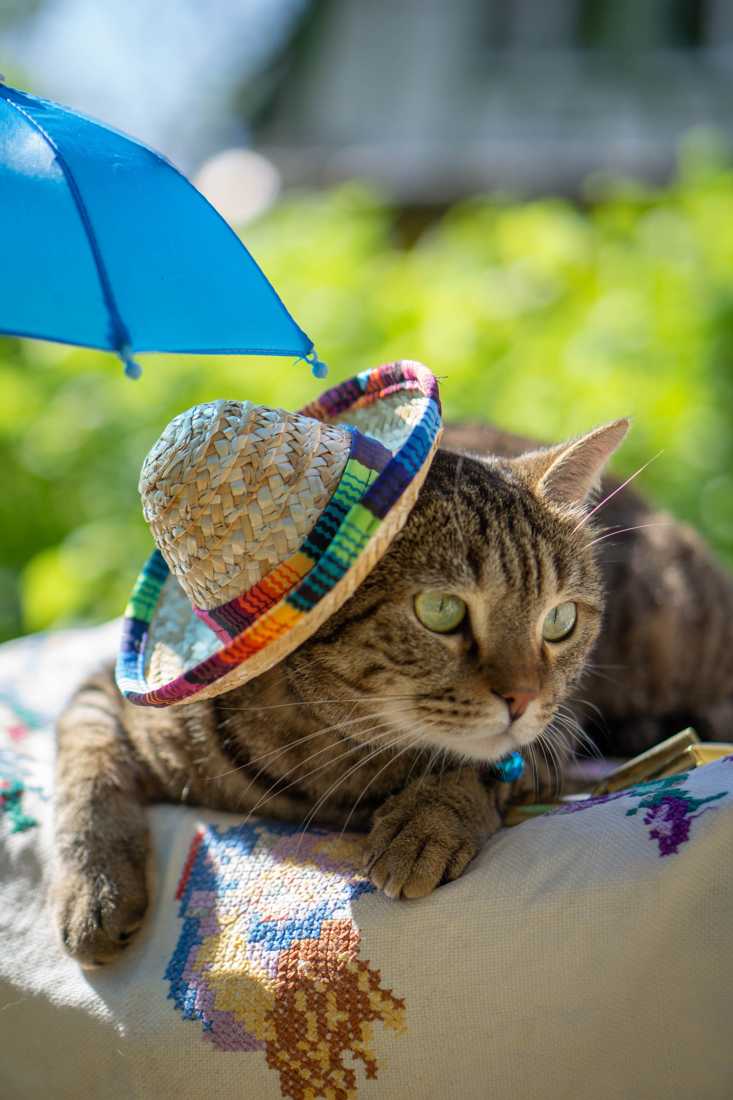 Хочу на БАЛИ!. Семейный и детский фотограф в Хабаровске Анна Гриневич