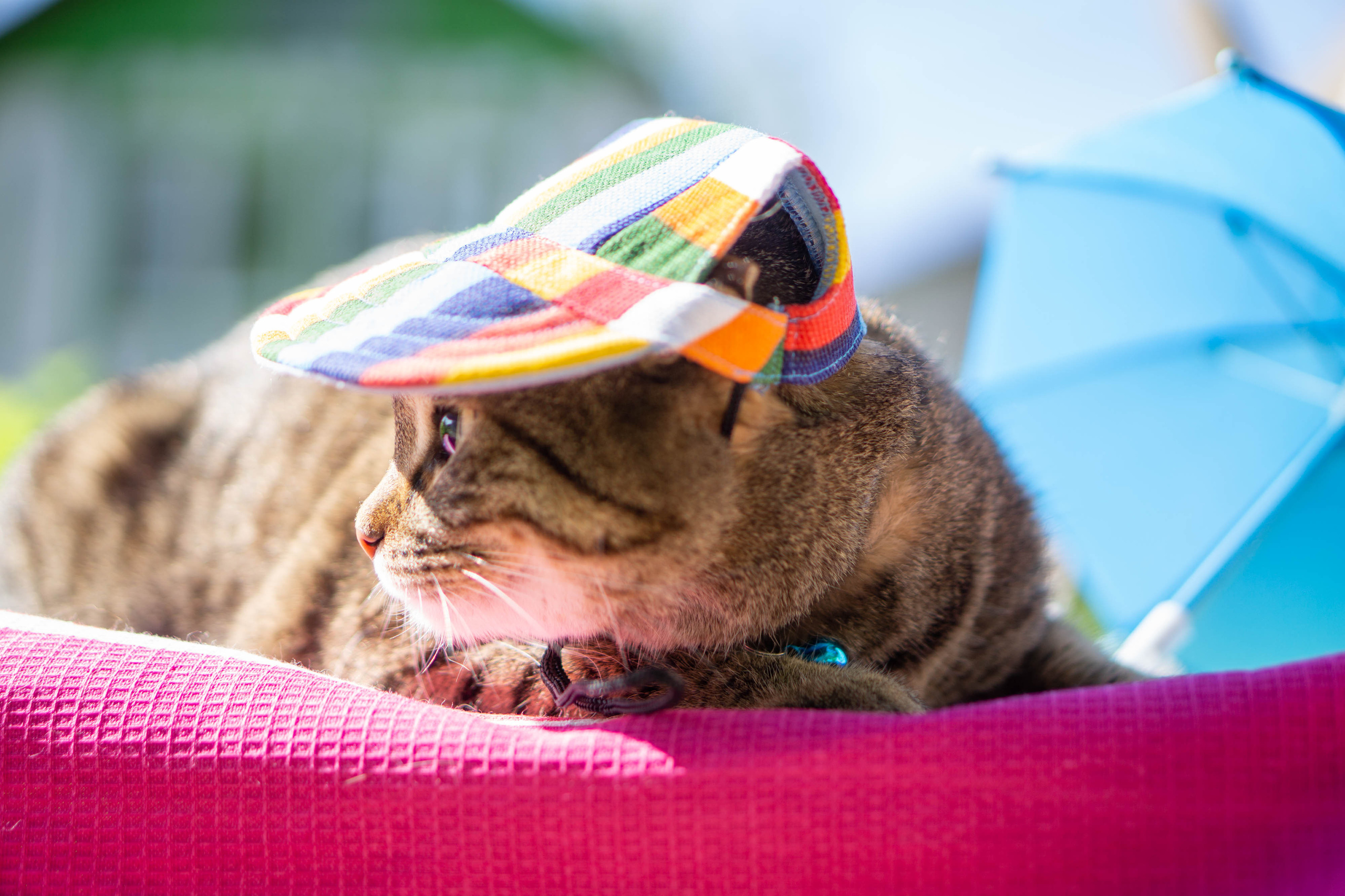 Хочу на БАЛИ!. Семейный и детский фотограф в Хабаровске Анна Гриневич