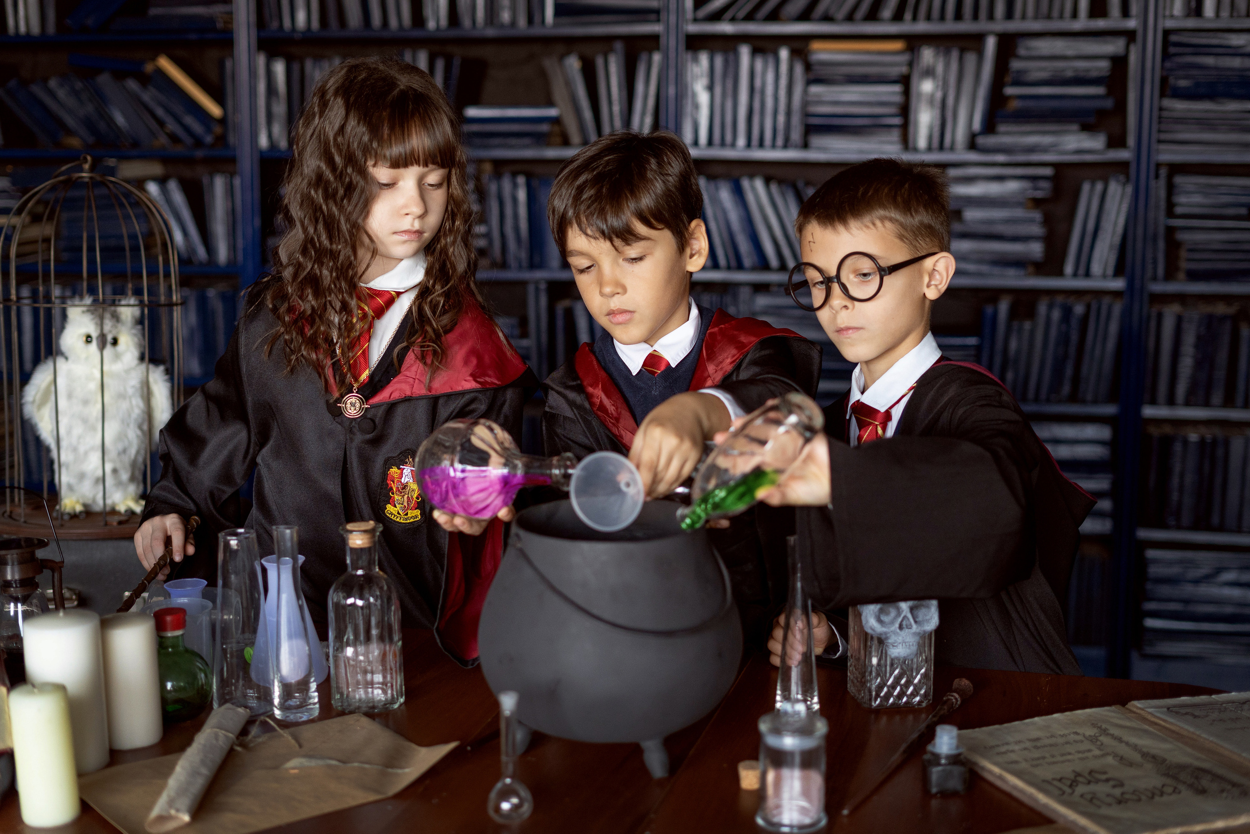 Хэллоуин и Рождество в ХОГВАРТСЕ. Семейный и детский фотограф в Хабаровске Анна Гриневич