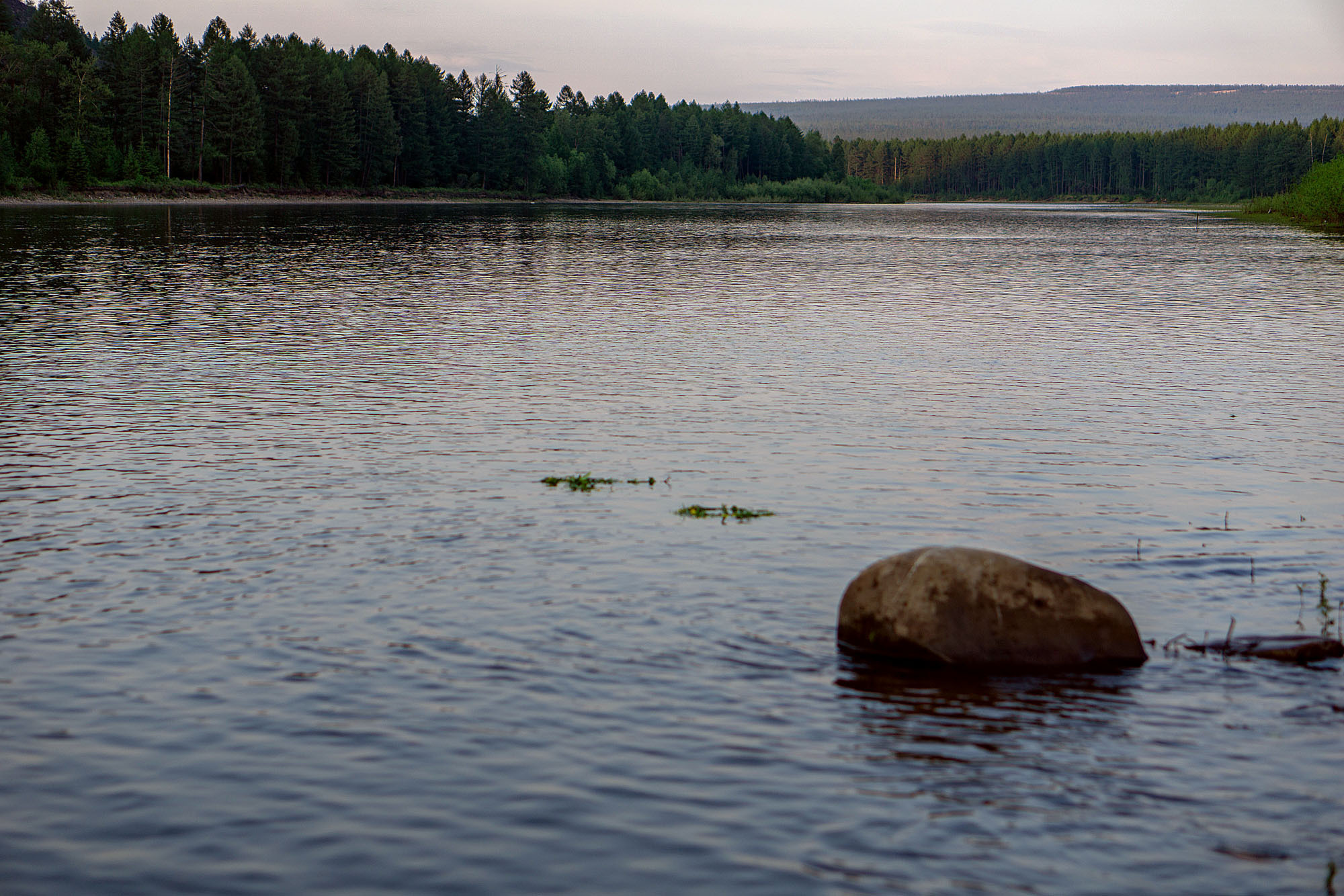 ИВАНА КУПАЛА. Семейный и детский фотограф в Хабаровске Анна Гриневич
