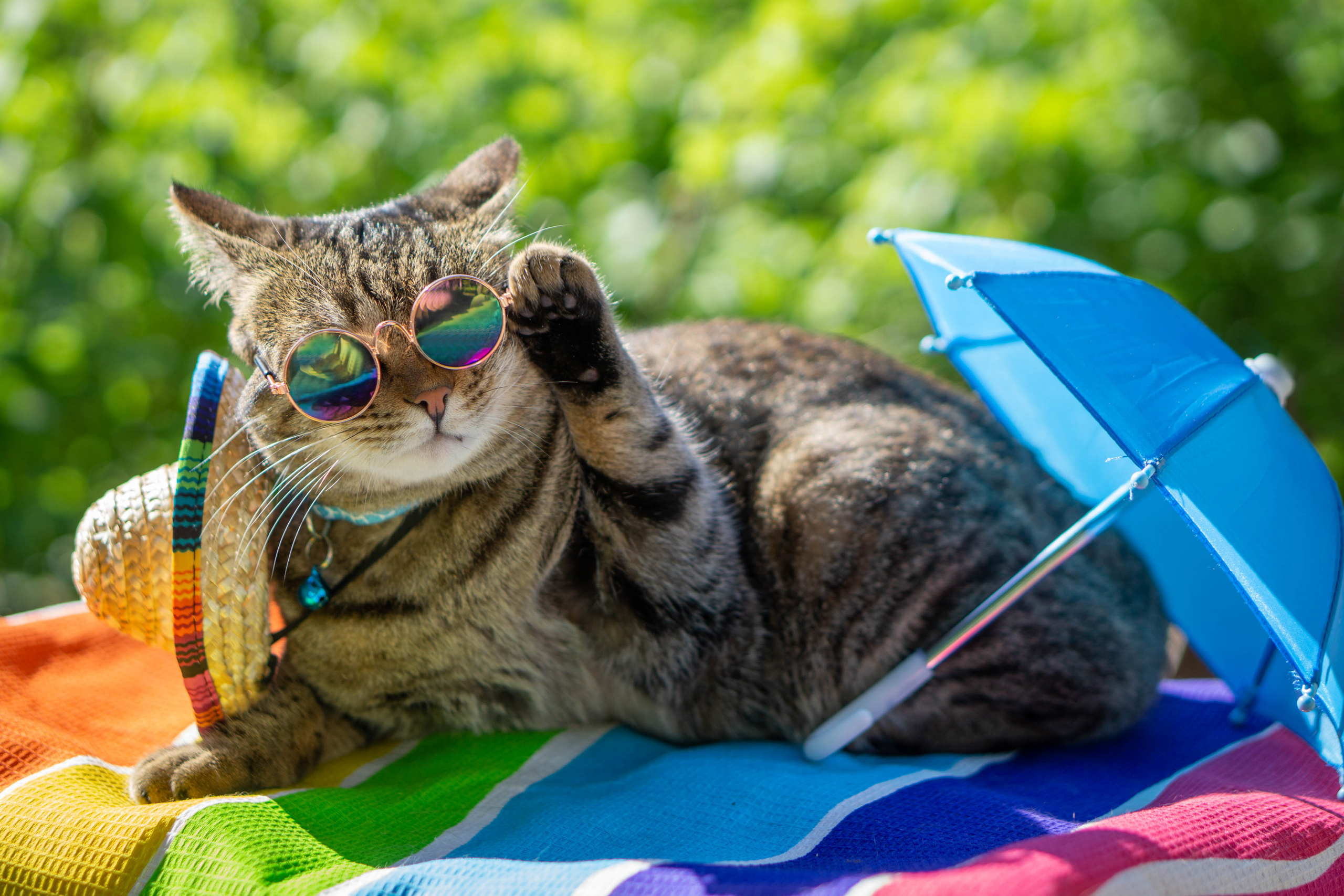 Хочу на БАЛИ!. Семейный и детский фотограф в Хабаровске Анна Гриневич