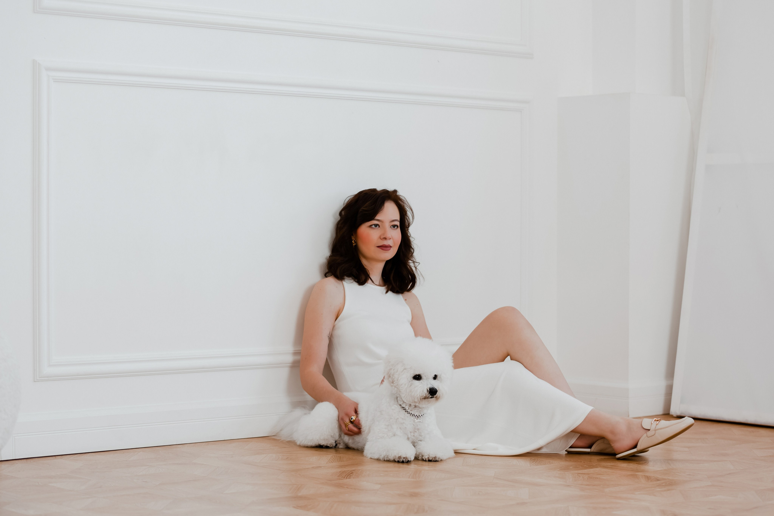 Бишон-фризе. Фотограф-анималист в Краснодаре Маша Мельникова