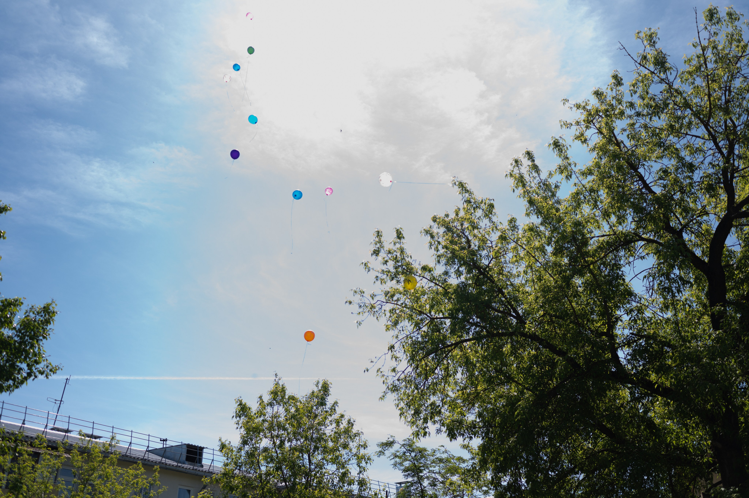 56 сад. Детский и семейный фотограф Катерина Мишина