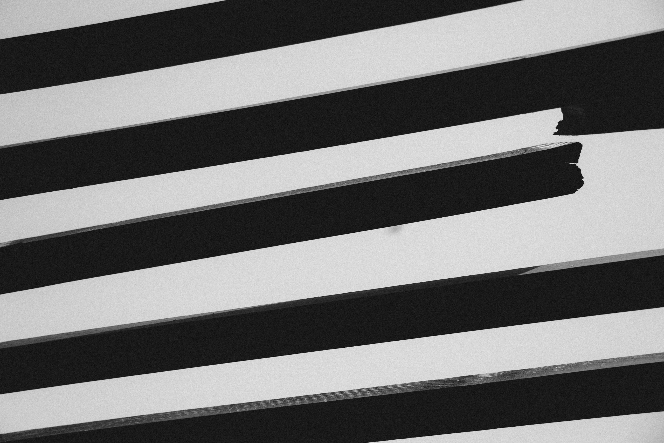 ВАЛЕРИЯ И СТЕПАН. Свадебный и семейный фотограф в Абакане Василевский Алексей