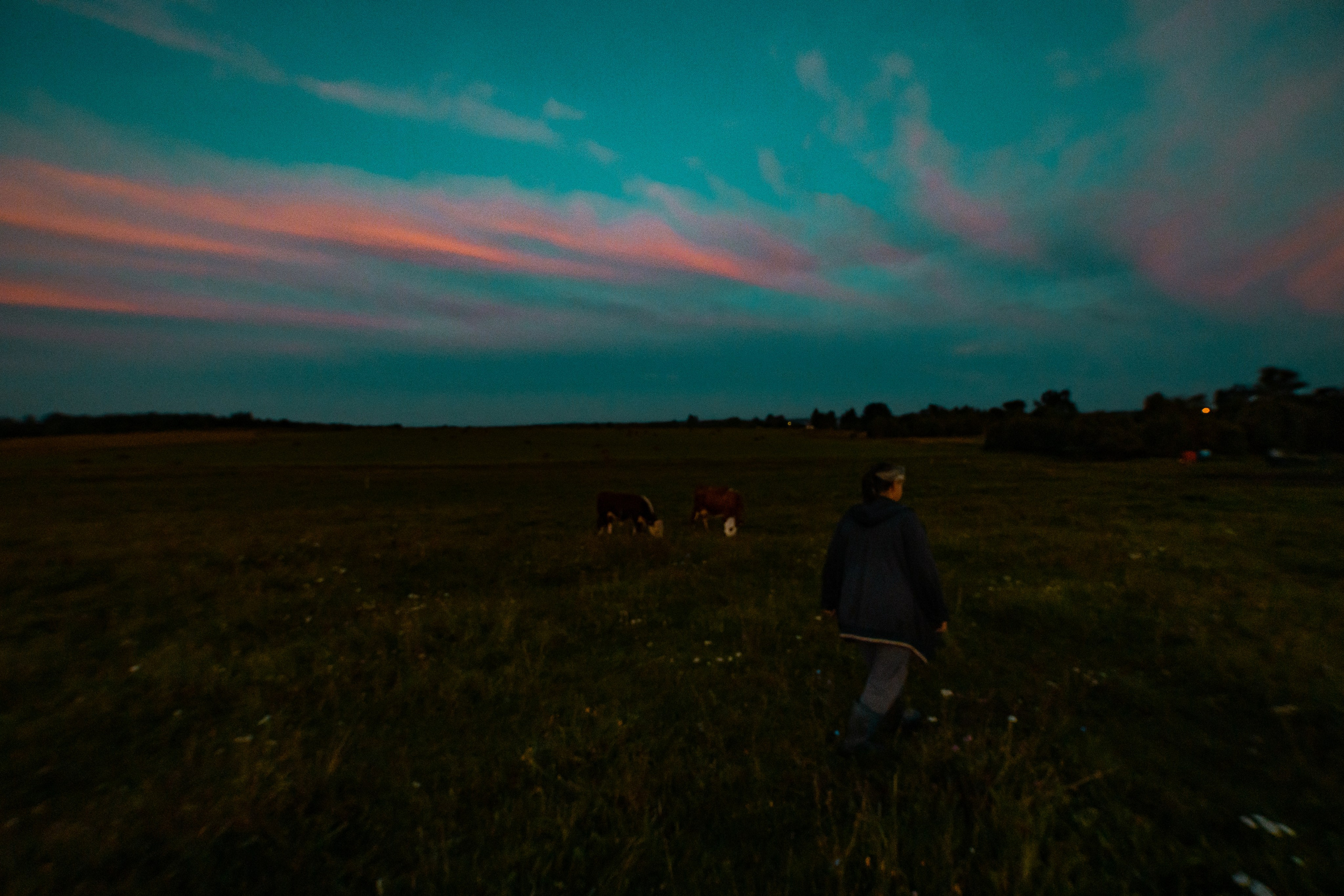 Деревня Мишнево | Калужская область. Папка кадров 📁