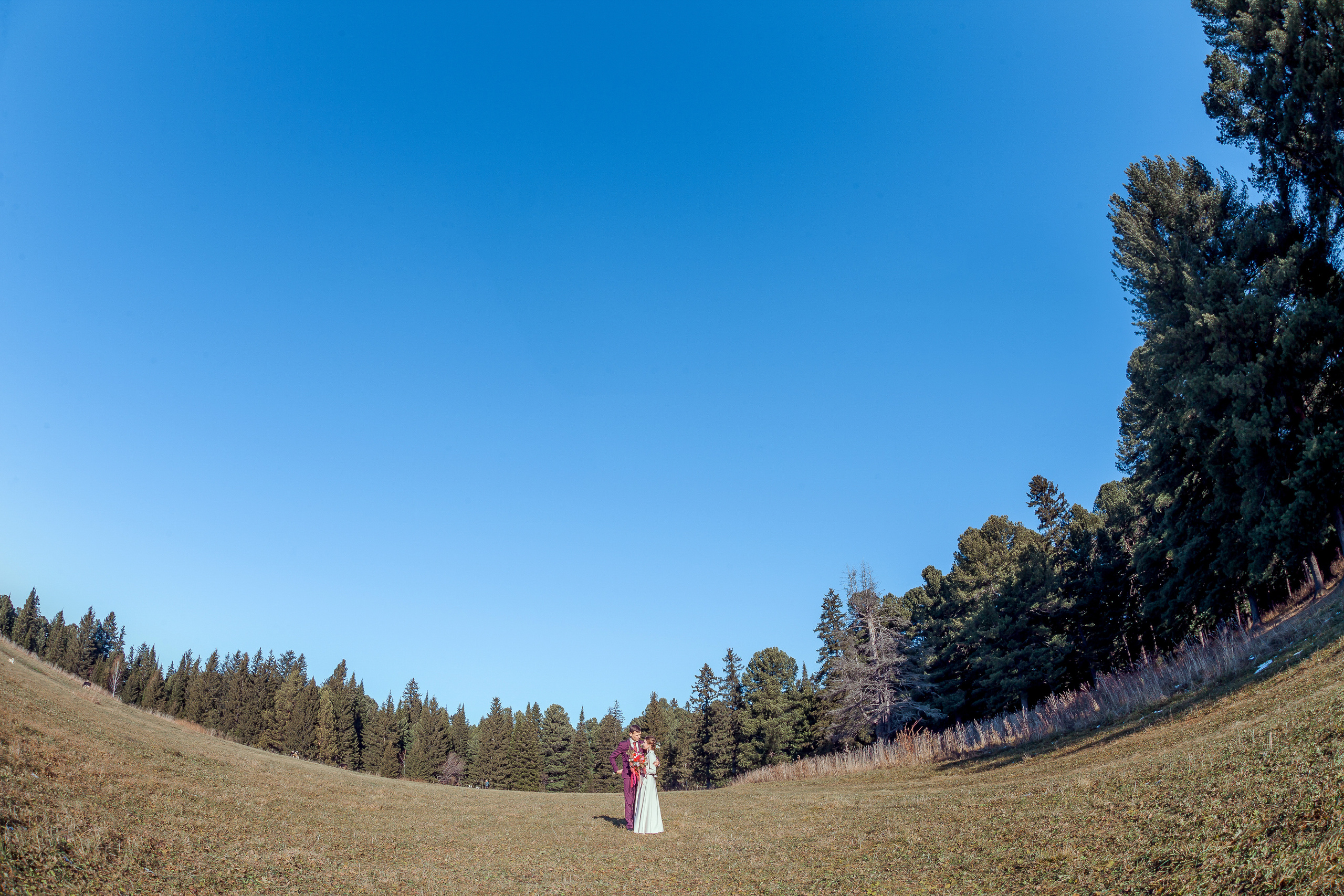 Иосиф и Валерия. Свадебный и семейный фотограф в г. Краснодар Терентьева Юлия