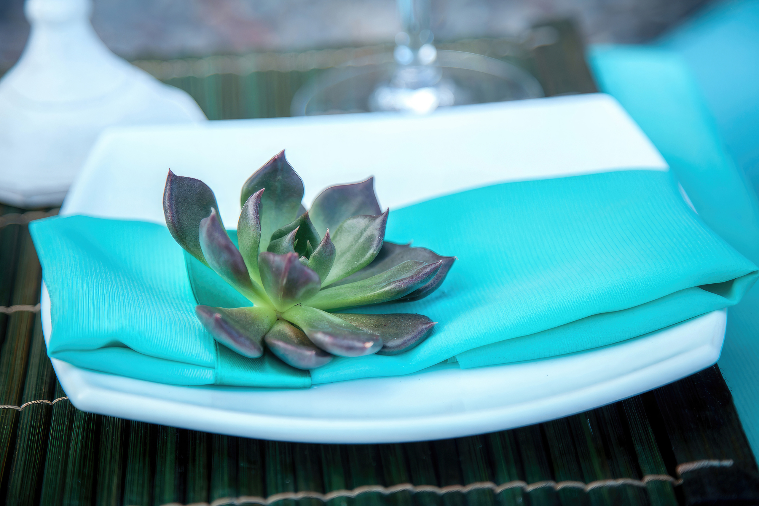 Дмитрий и Елена. Свадебный и семейный фотограф в г. Краснодар Терентьева Юлия