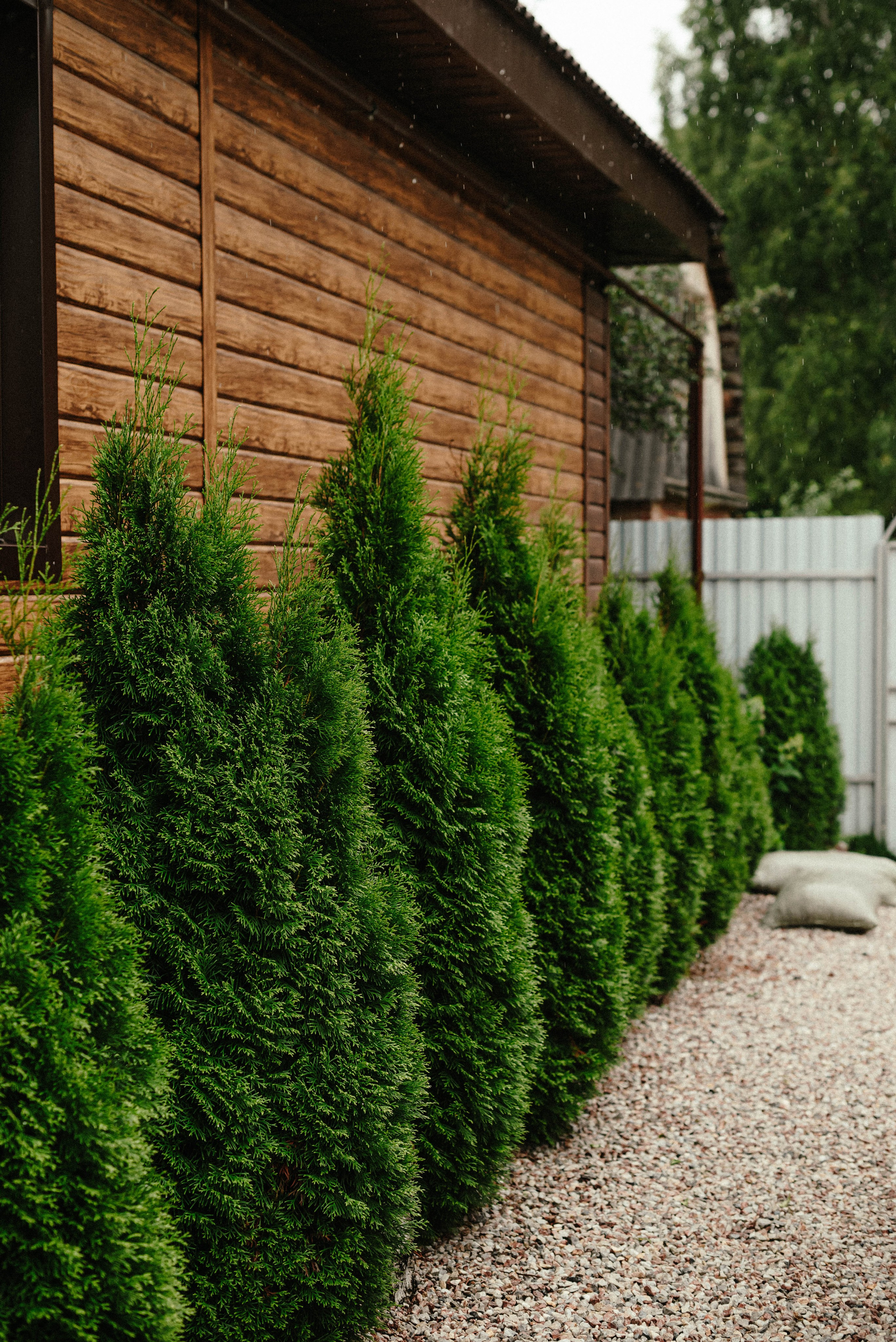 Лесное царство Оксаны. Свадебный и семейный фотограф в Новосибирске, Санкт-Петербурге, Москве