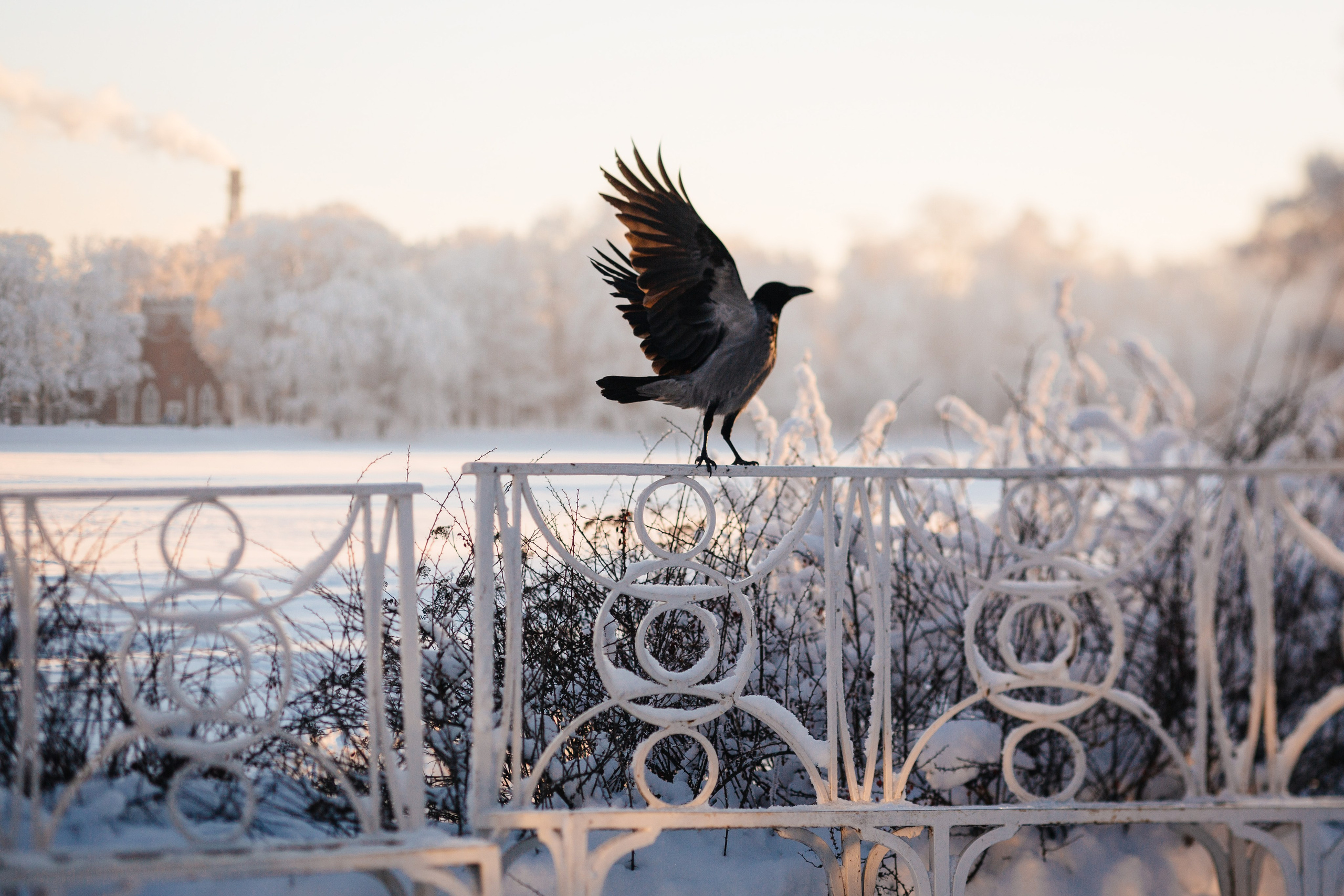 Пейзажи и архитектура. Фотограф Софья Разумовская