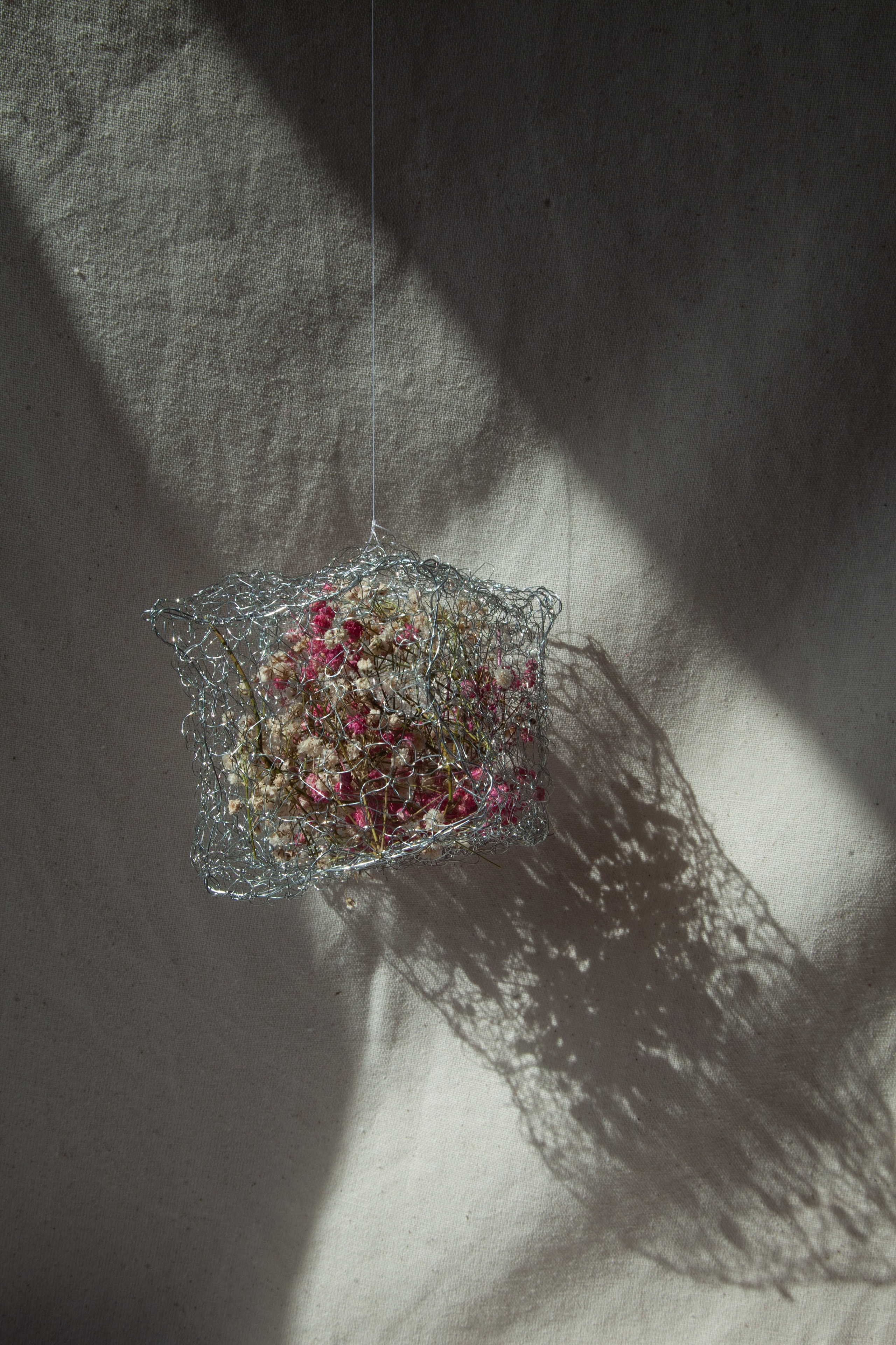 Мария Кутузова, Вера Санина-Гвоздикова