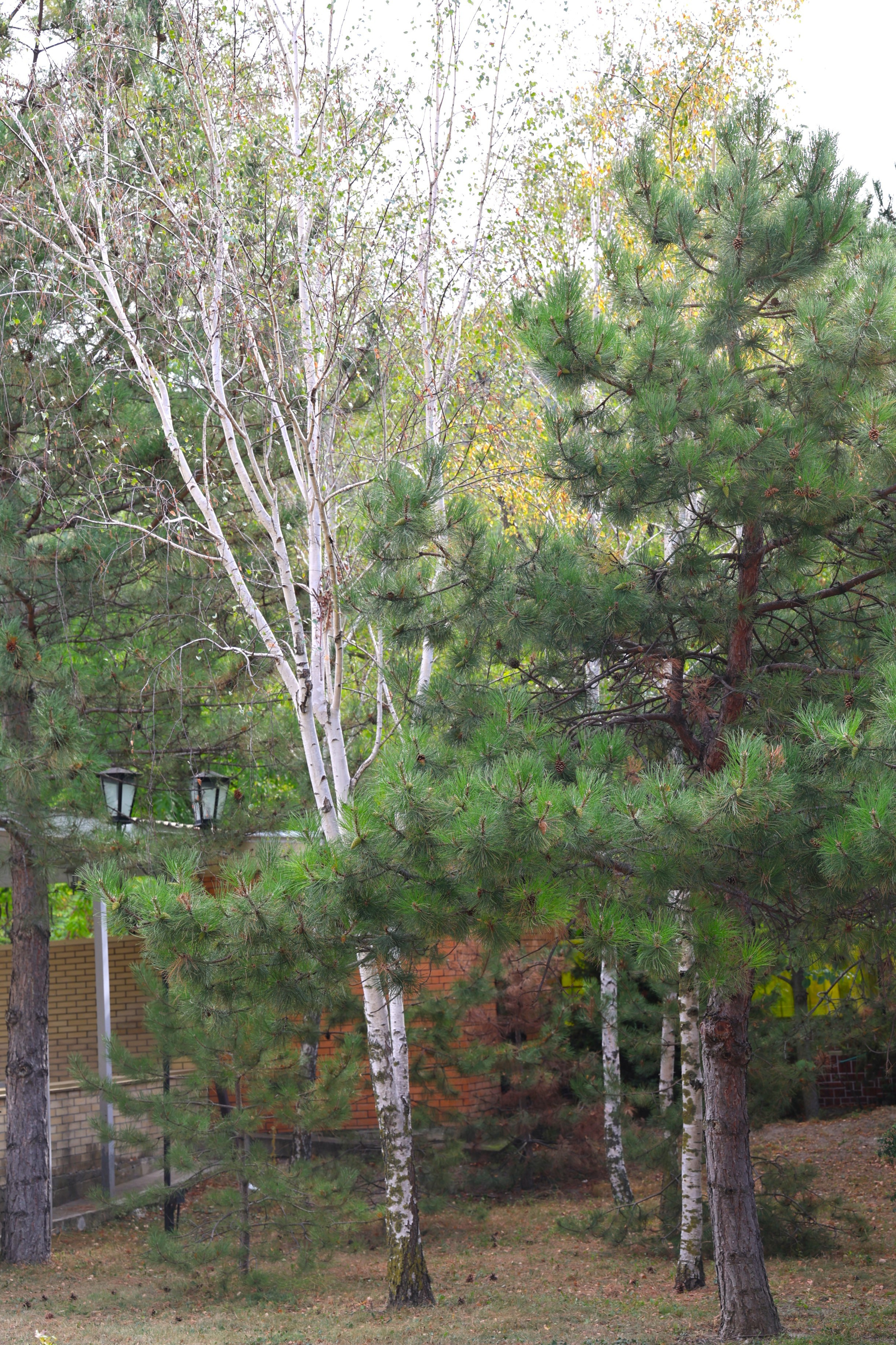 Ставрополец — Оздоровительный пансионат | с. Широкая Балка г. Новороссийск