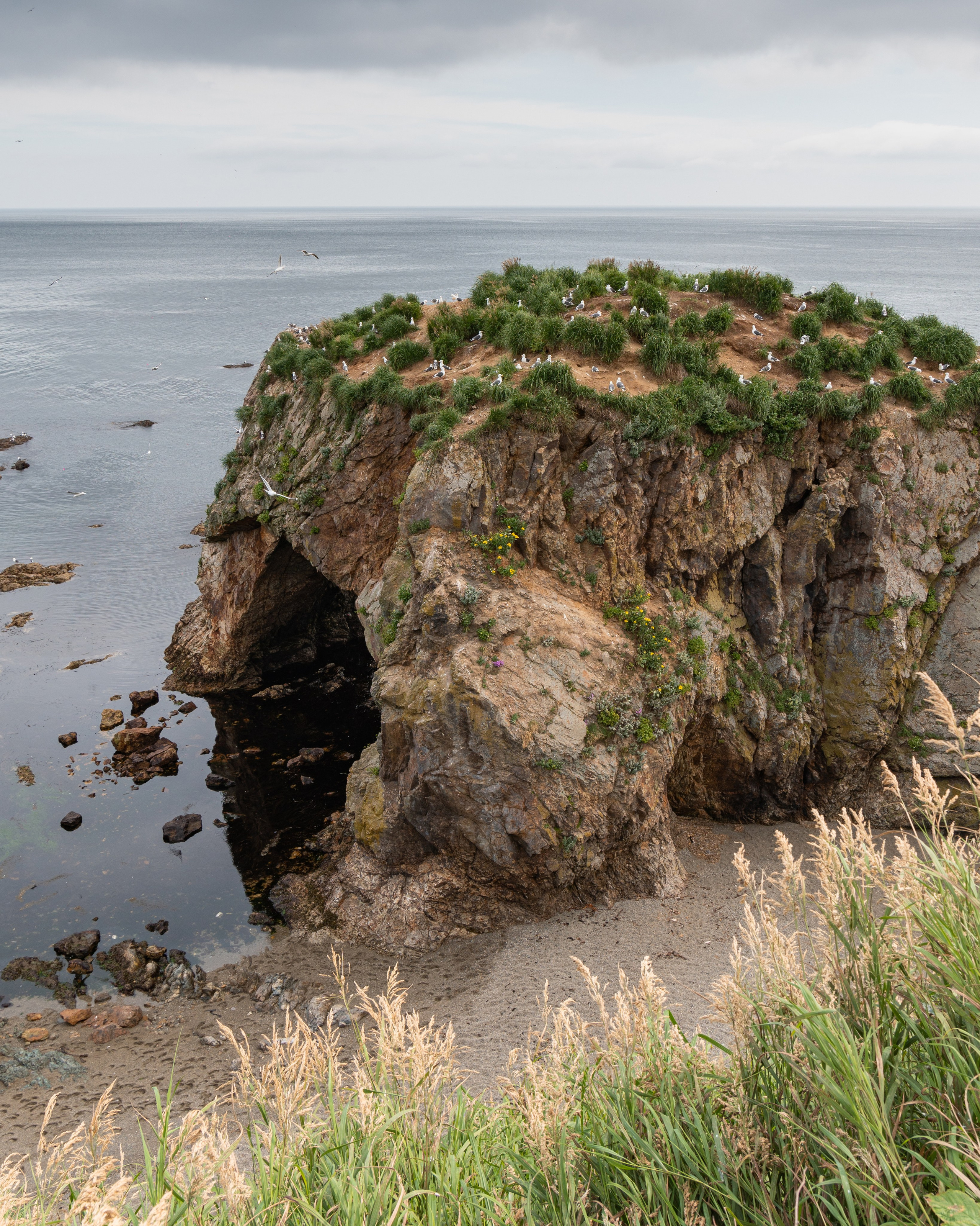 Сахалин. Gusarov Travel Photography