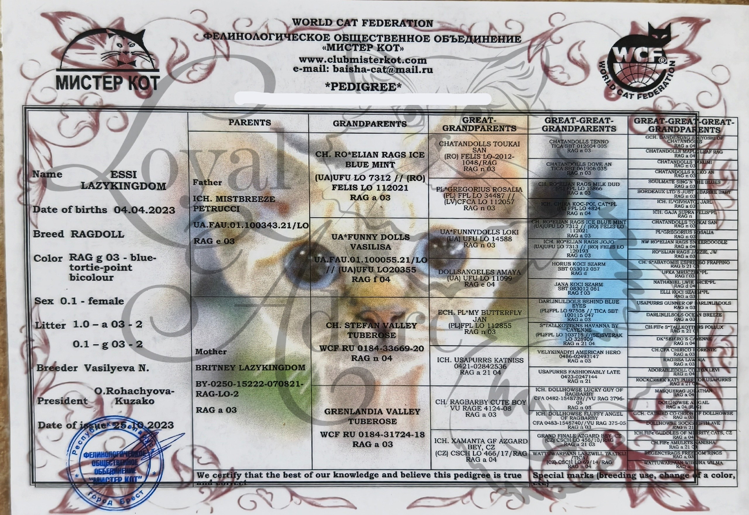 Документы производителей Loyal Adore. Питомник рэгдолл Loyal Adore