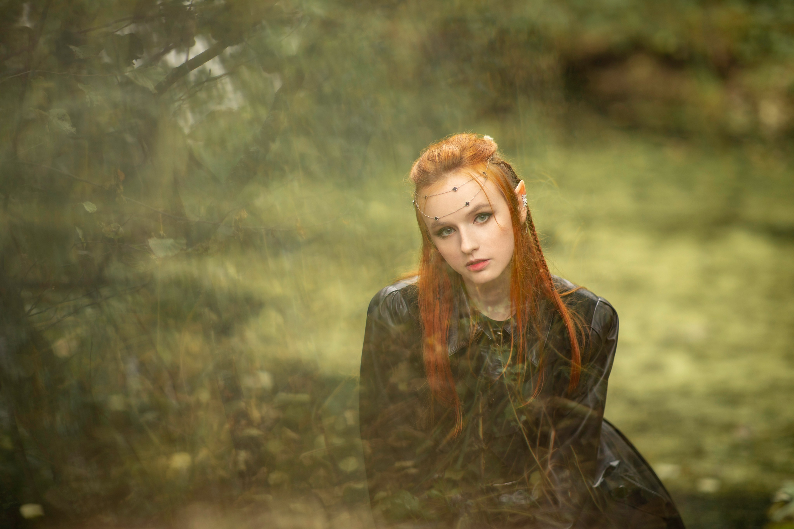 Волшебный лес