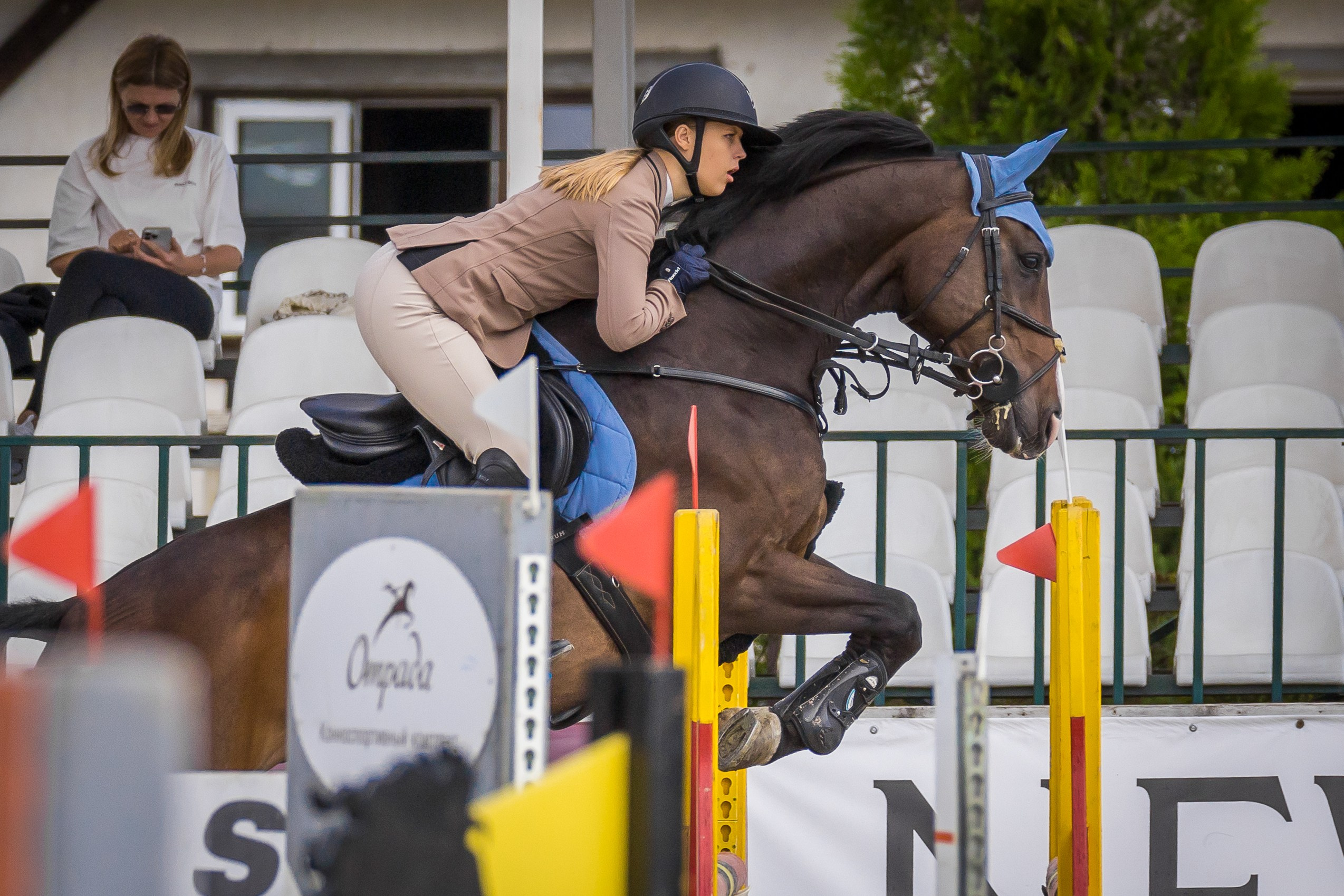 Конный спорт. Photomantis