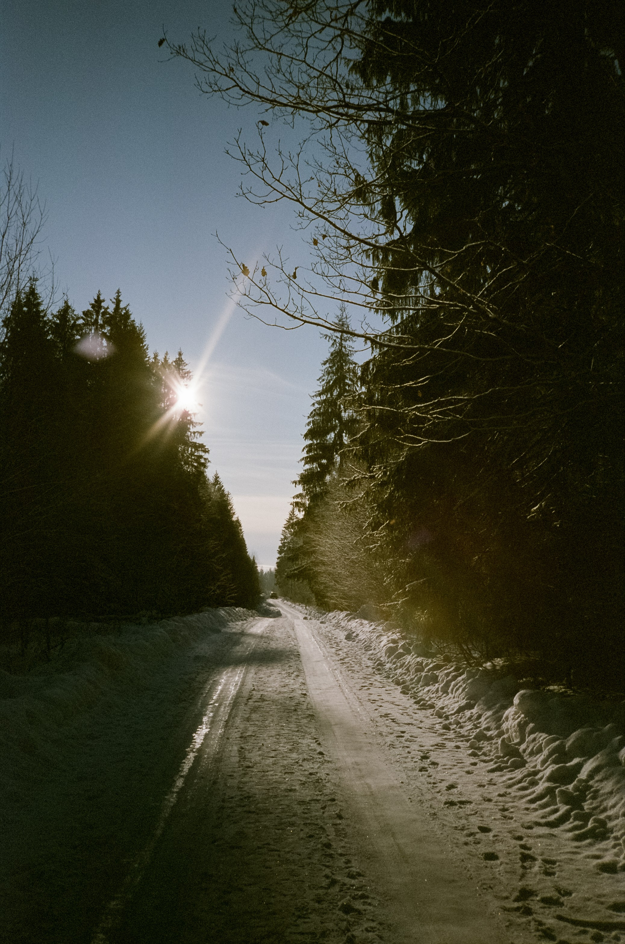 Chinon Auto 3001 (2) / Fuji Eterna 250D (ISO 100) / Давыдовское, Лукин