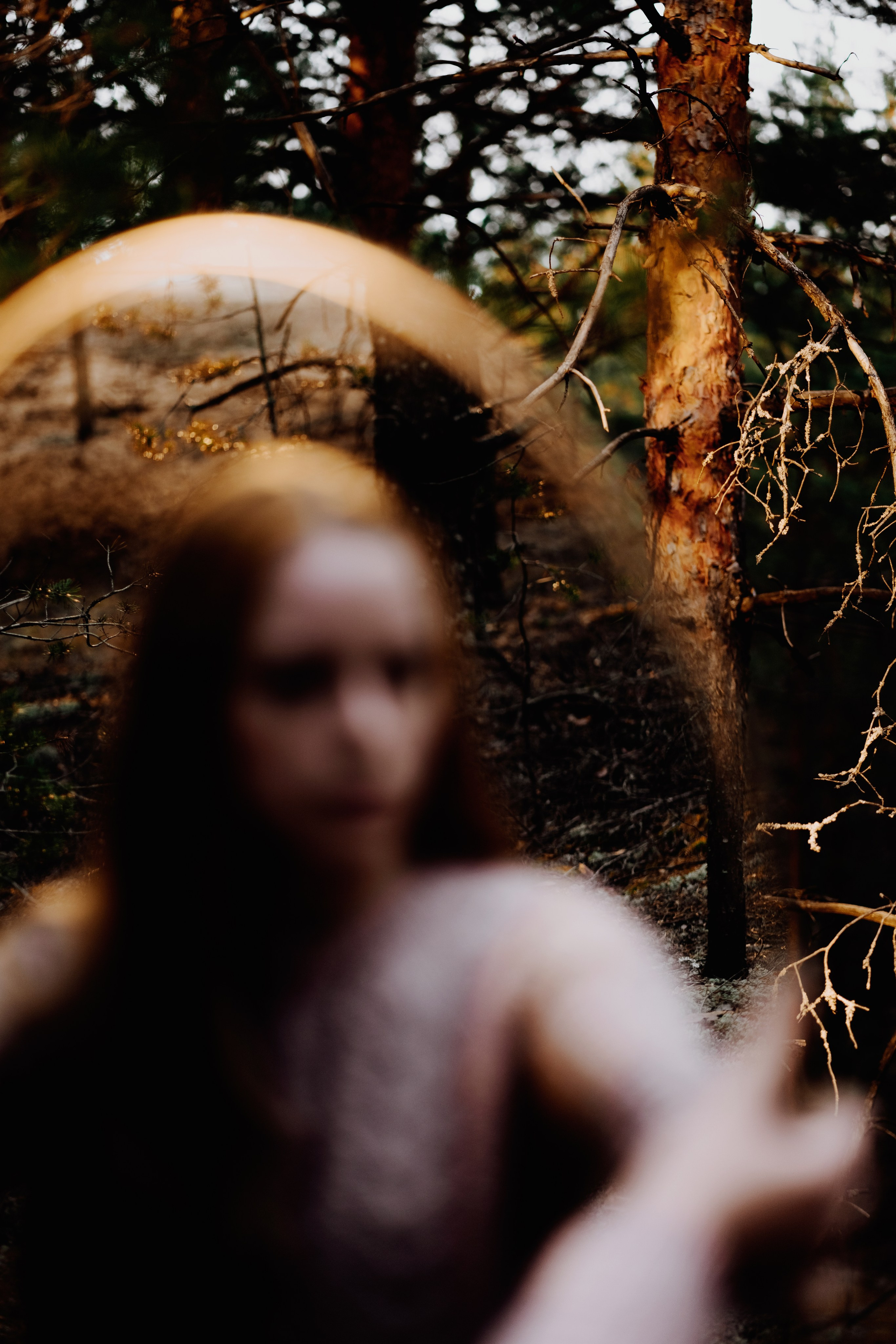 Волшебный лес. Фотограф в Нижнем Новгороде Алексей Уковский