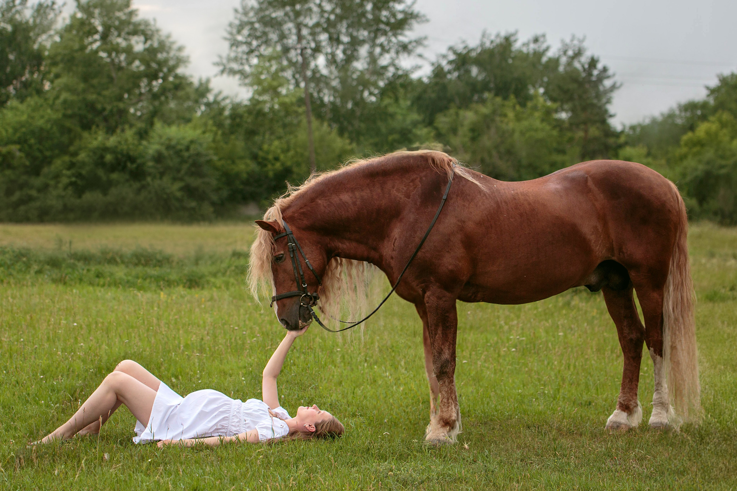 Карета 24. Конный фотограф в Красноярске — Любовь Похабова