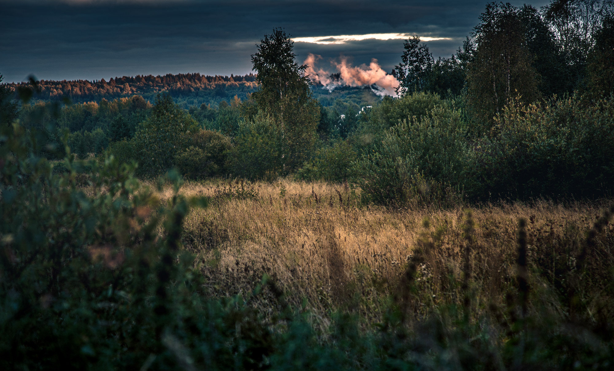 Д. Тарасонаволоцкая, Устьянский р-он, Архангельская область. Фотограф — путешественник Светлана Романовская