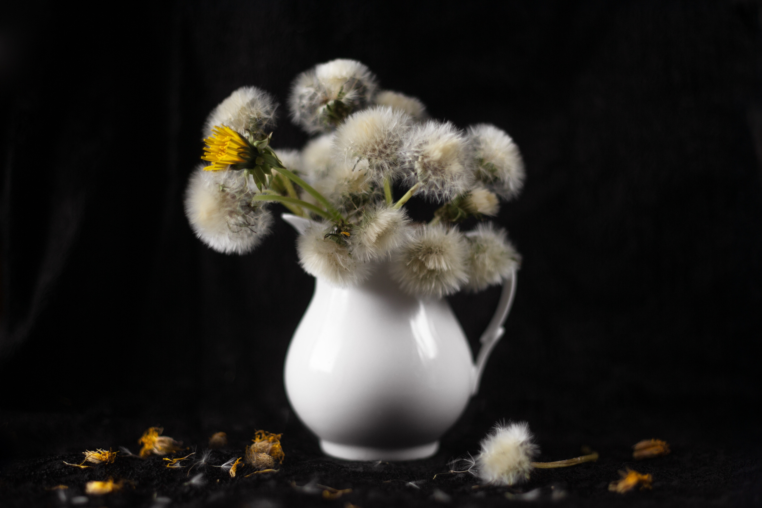 Ягодки, цветочки и все такое для души…. Фотограф — путешественник Светлана Романовская