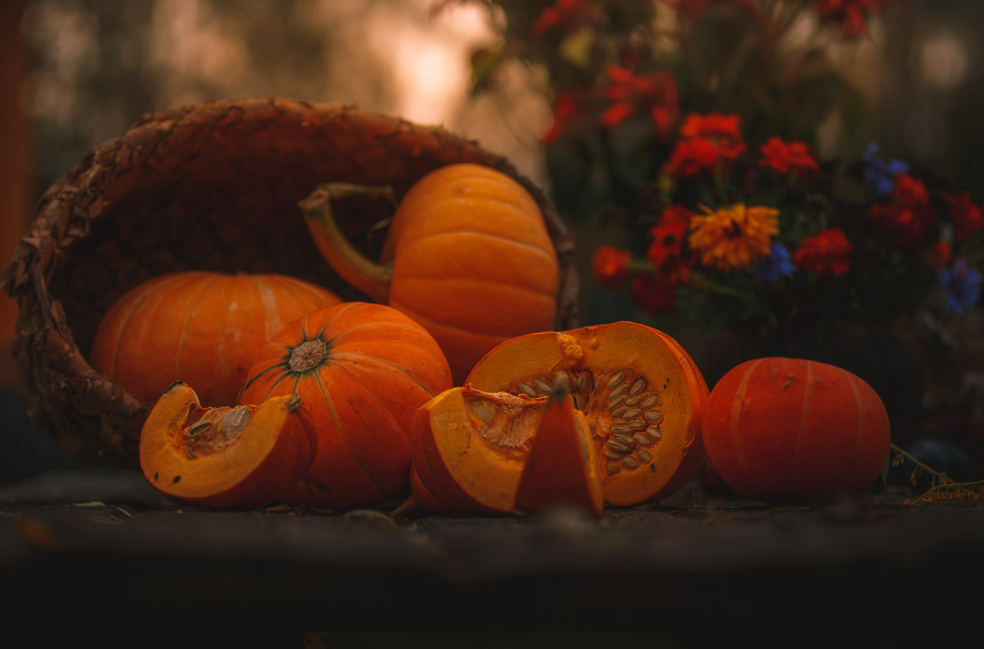 Д. Тарасонаволоцкая, Устьянский р-он, Архангельская область. Фотограф — путешественник Светлана Романовская