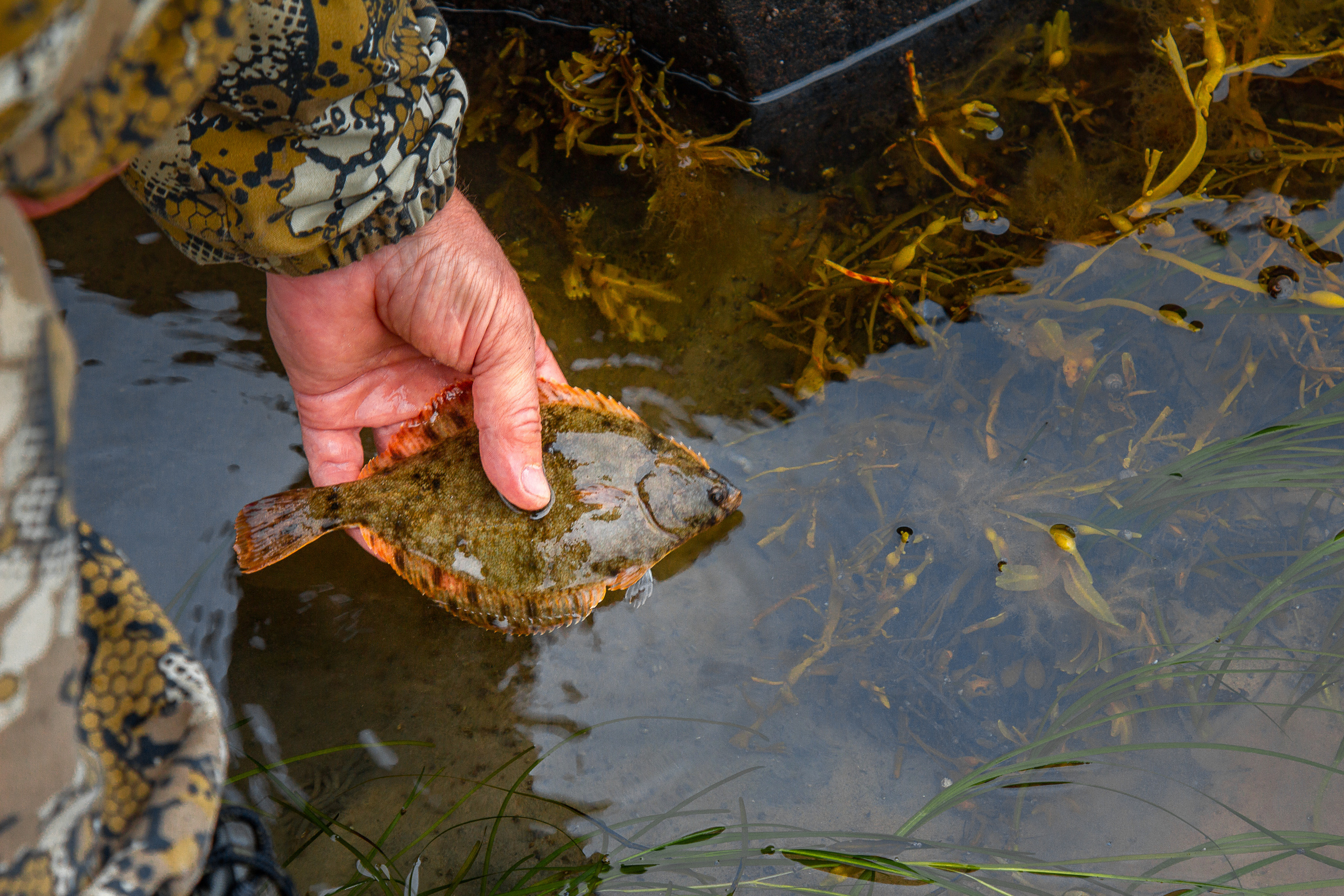 Остров Коткано́. Фотограф — путешественник Светлана Романовская