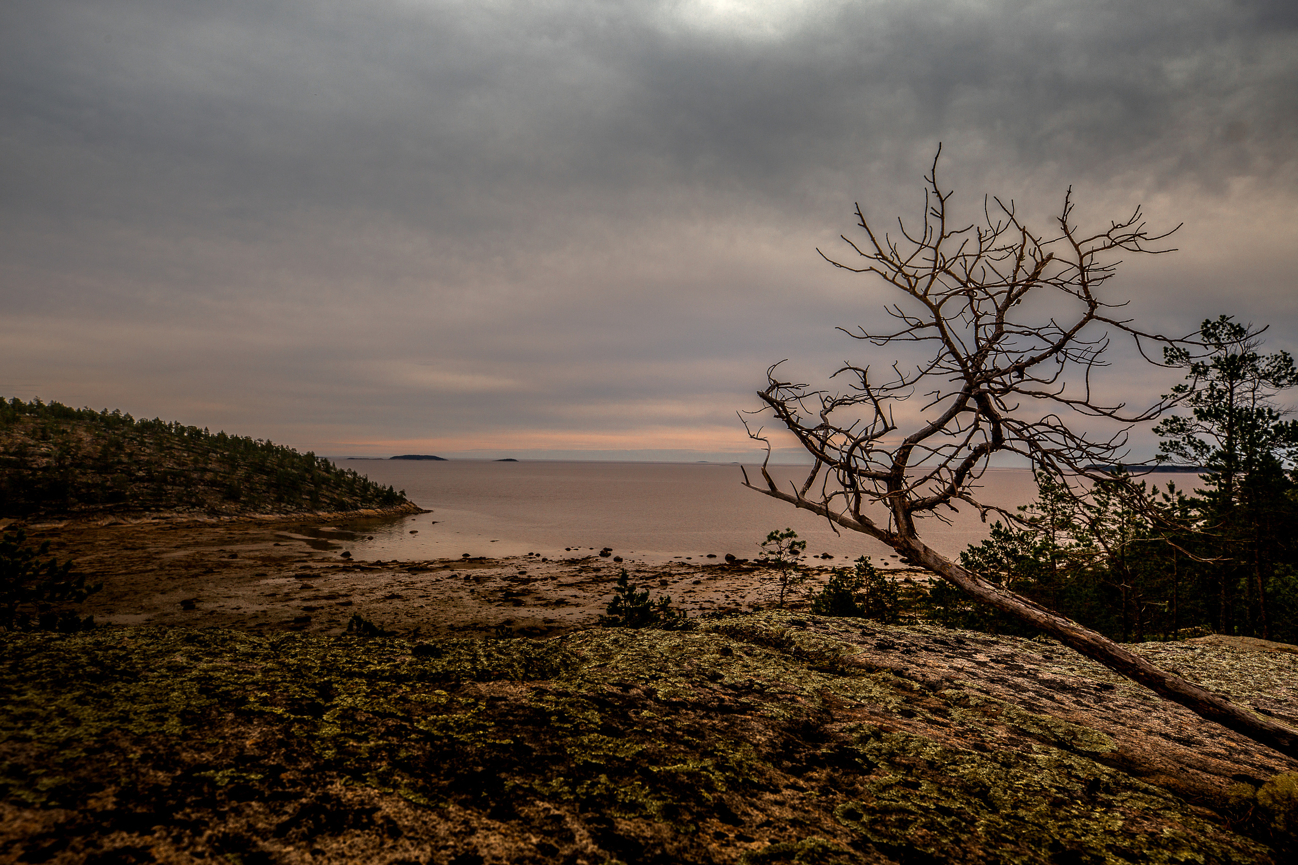 Остров Коткано́. Фотограф — путешественник Светлана Романовская
