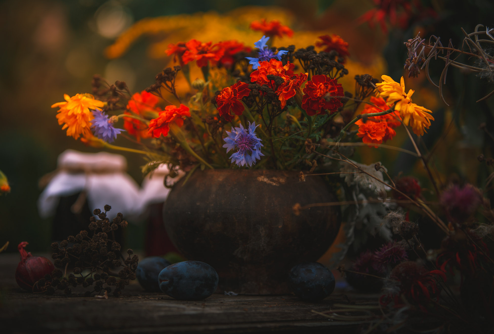 Д. Тарасонаволоцкая, Устьянский р-он, Архангельская область. Фотограф — путешественник Светлана Романовская