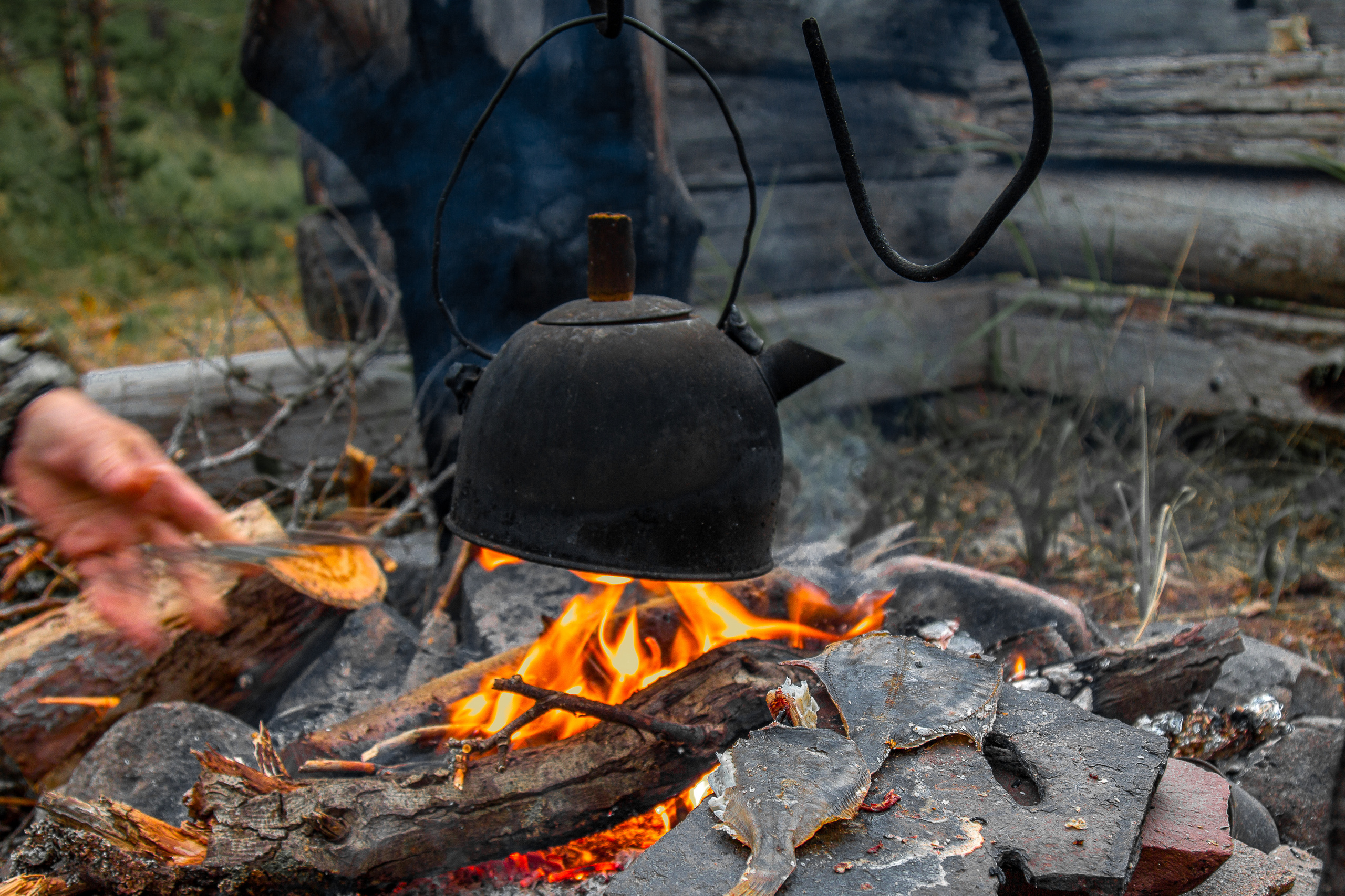 Остров Коткано́. Фотограф — путешественник Светлана Романовская