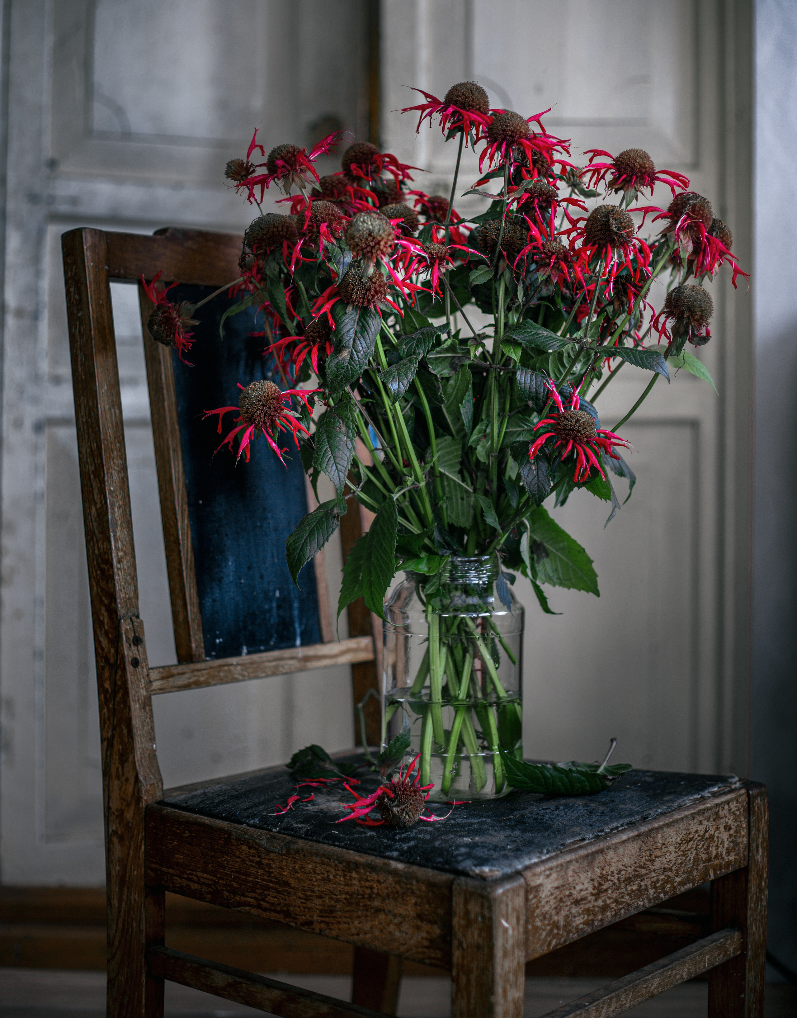 Ягодки, цветочки и все такое для души…. Фотограф — путешественник Светлана Романовская