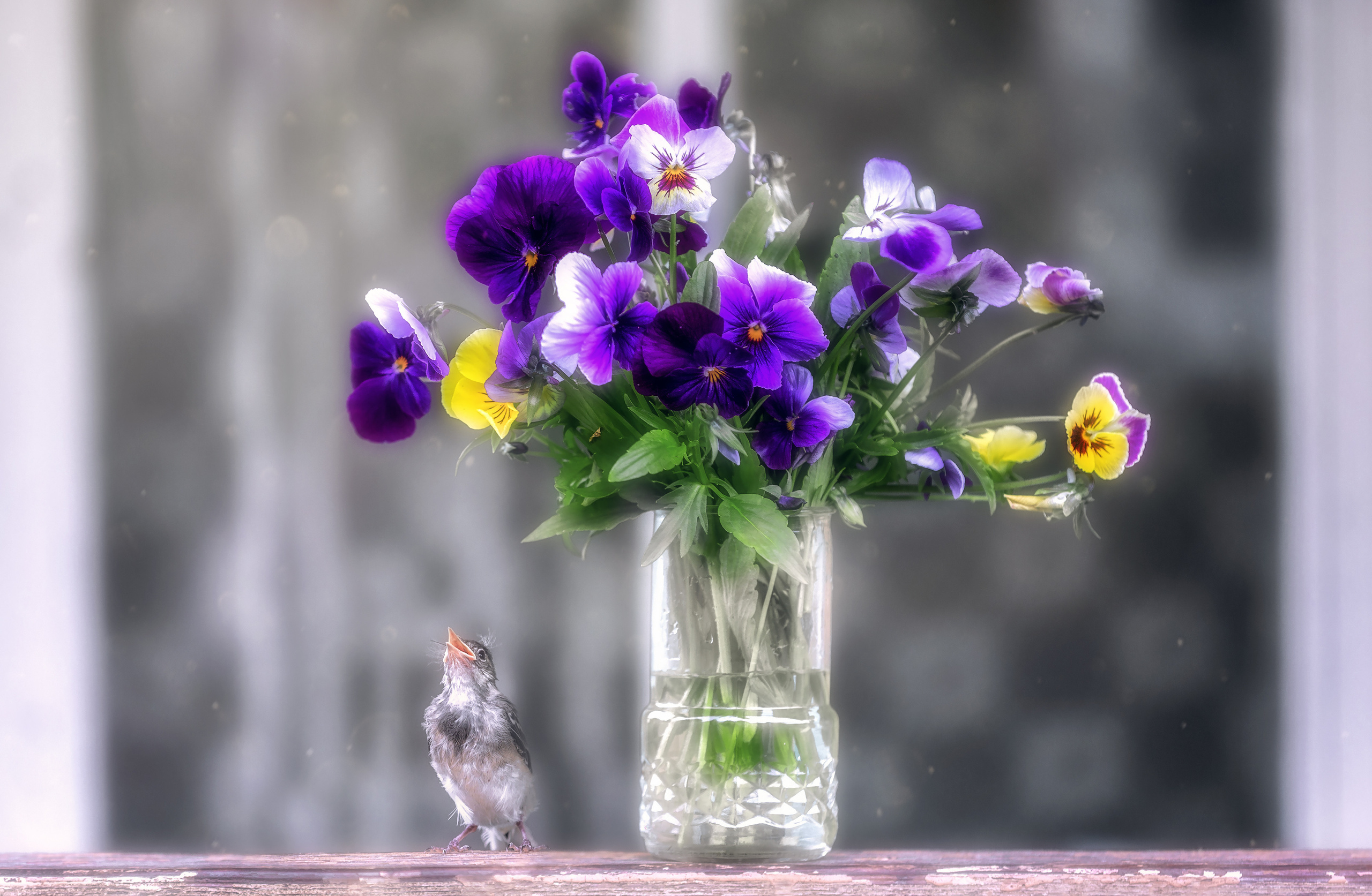 Ягодки, цветочки и все такое для души…. Фотограф — путешественник Светлана Романовская