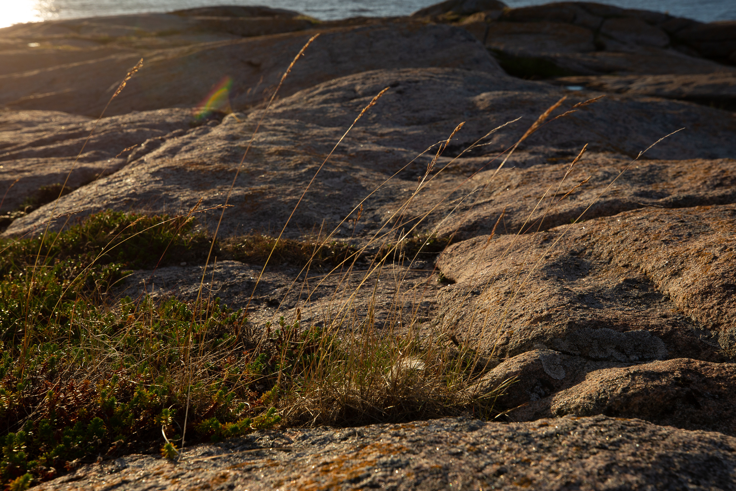 Остров Коткано́. Фотограф — путешественник Светлана Романовская