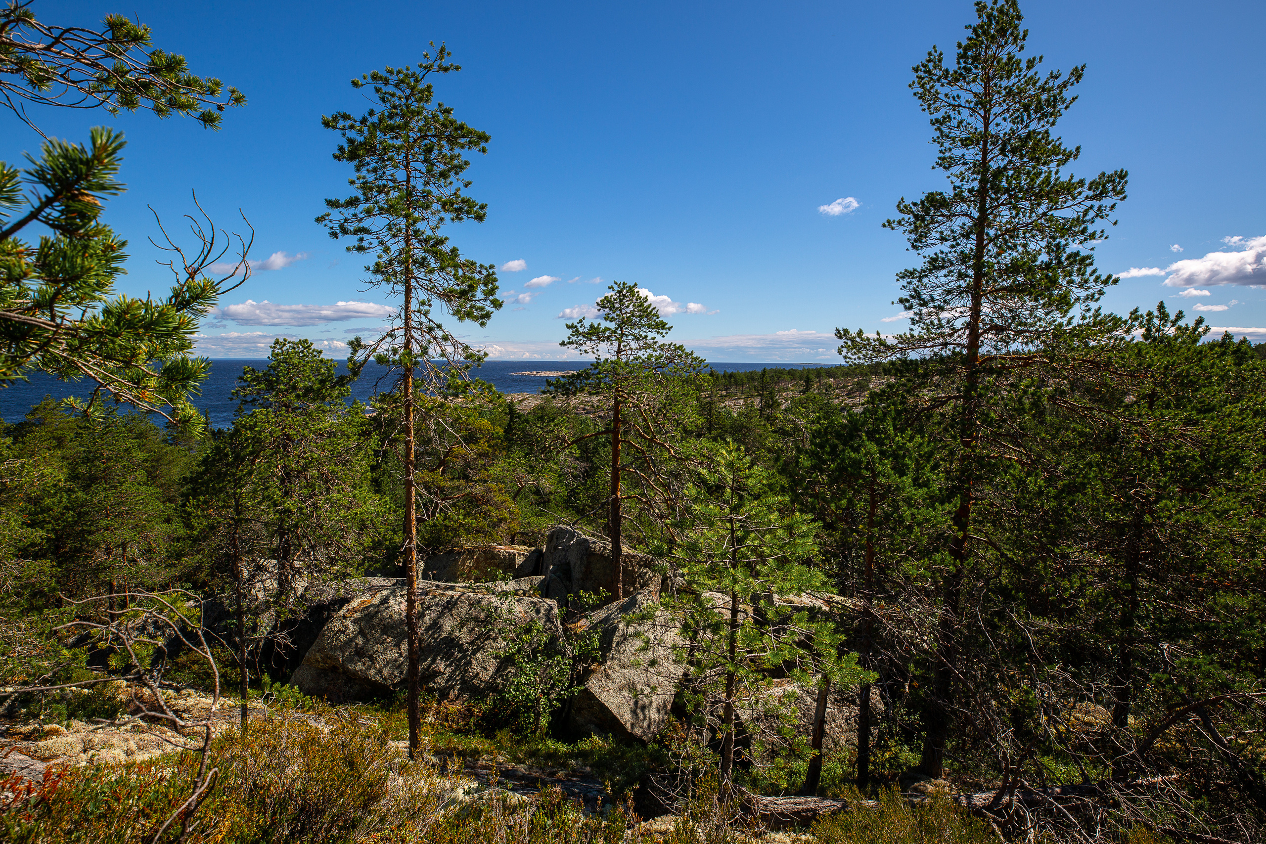 Остров Коткано́. Фотограф — путешественник Светлана Романовская