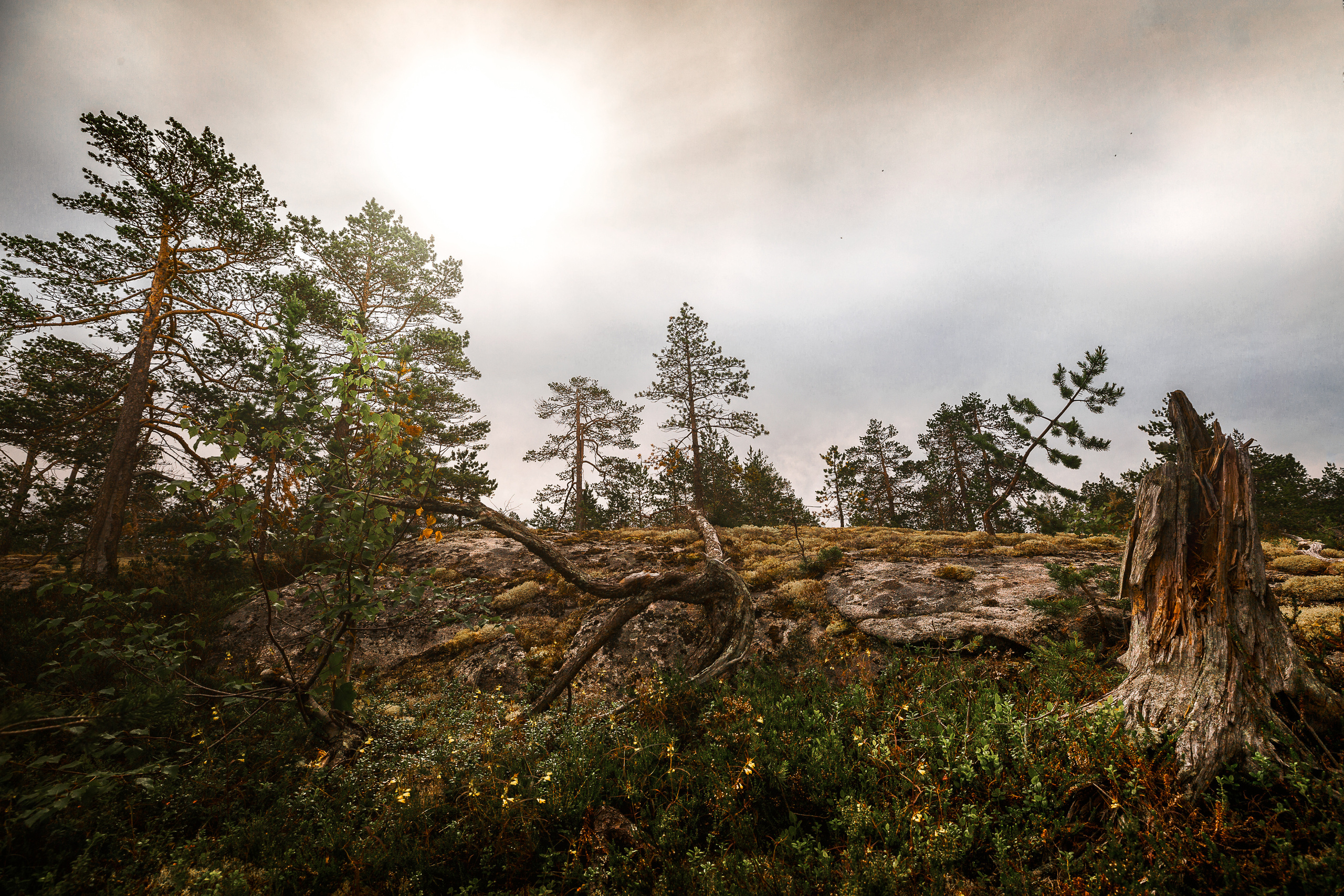 Остров Коткано́. Фотограф — путешественник Светлана Романовская