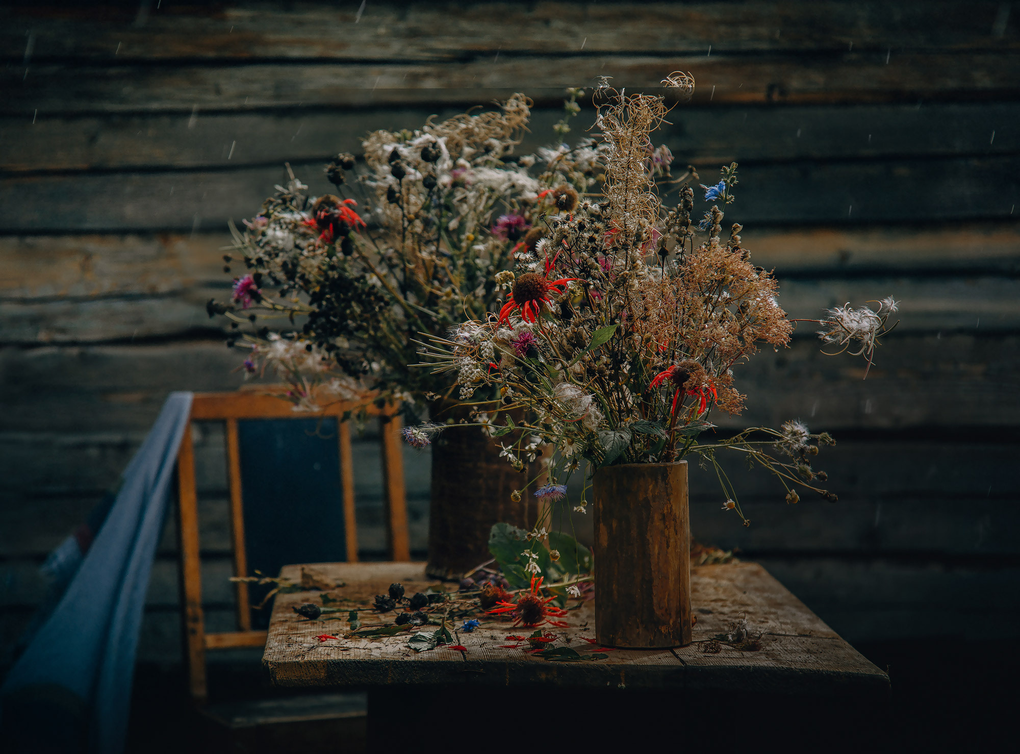 Д. Тарасонаволоцкая, Устьянский р-он, Архангельская область. Фотограф — путешественник Светлана Романовская