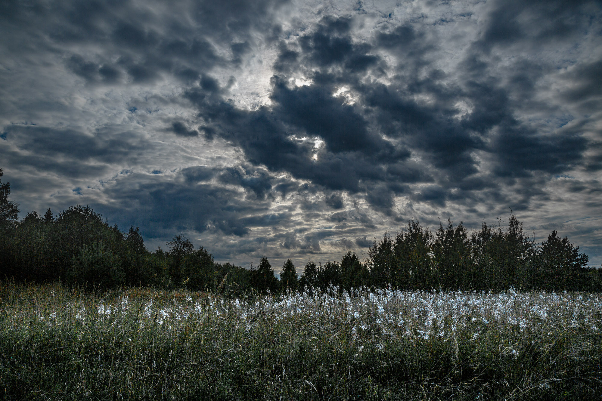Д. Тарасонаволоцкая, Устьянский р-он, Архангельская область. Фотограф — путешественник Светлана Романовская
