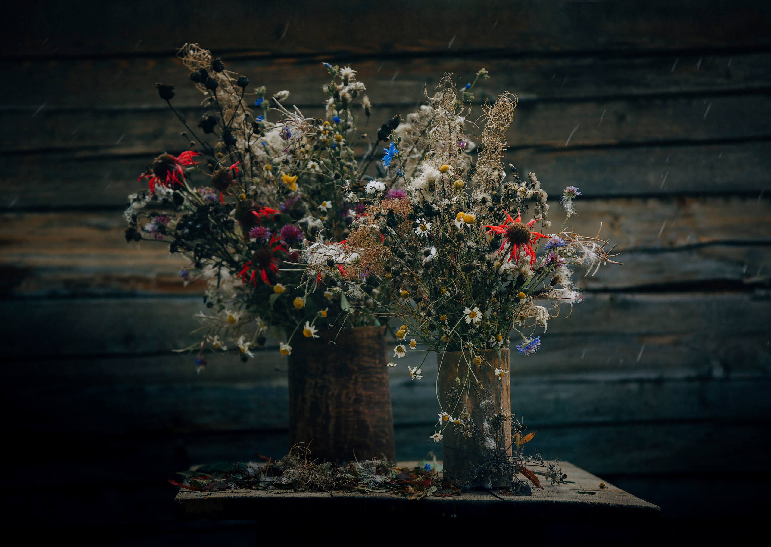 Ягодки, цветочки и все такое для души…. Фотограф — путешественник Светлана Романовская