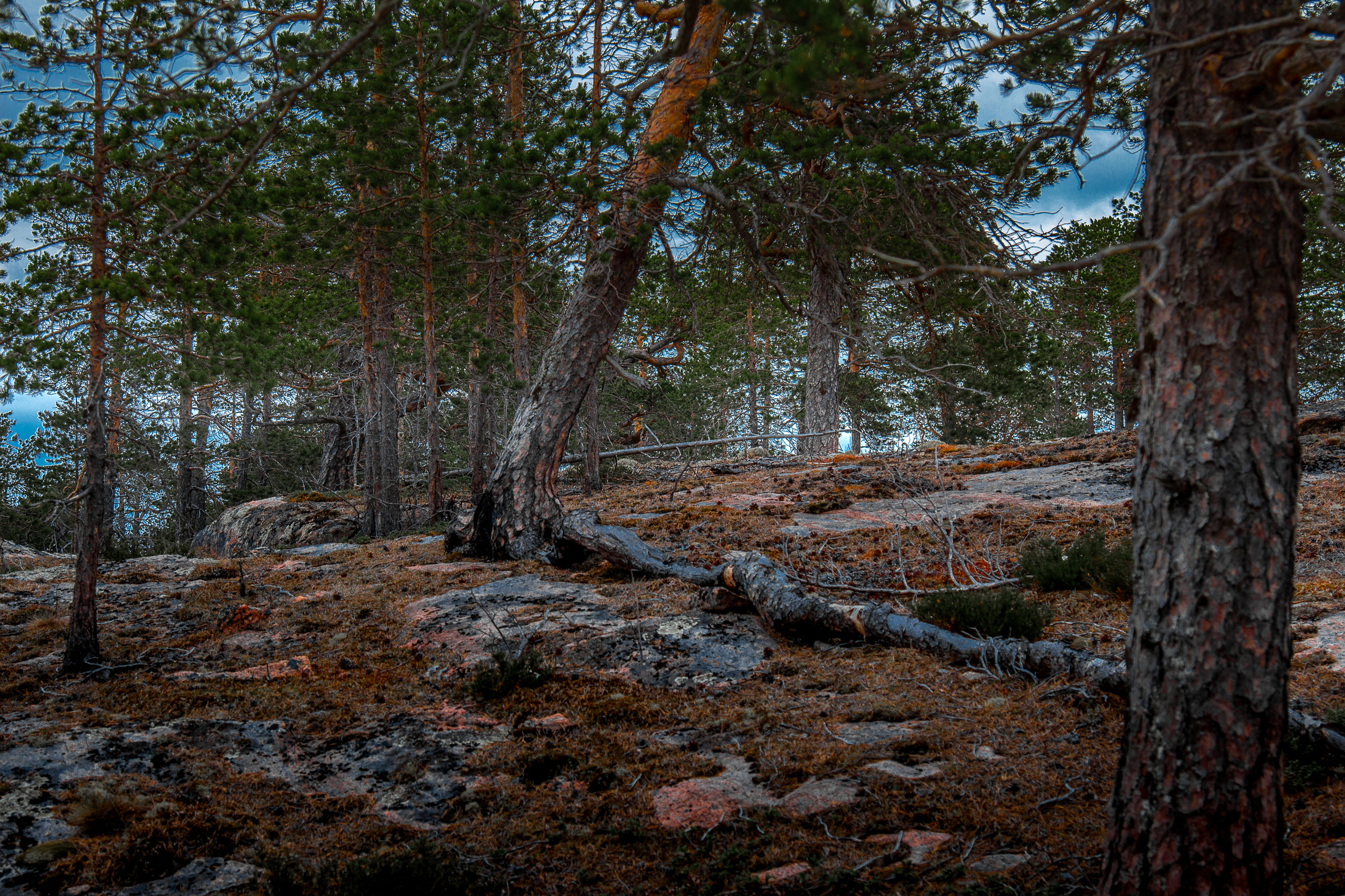 Остров Коткано́. Фотограф — путешественник Светлана Романовская