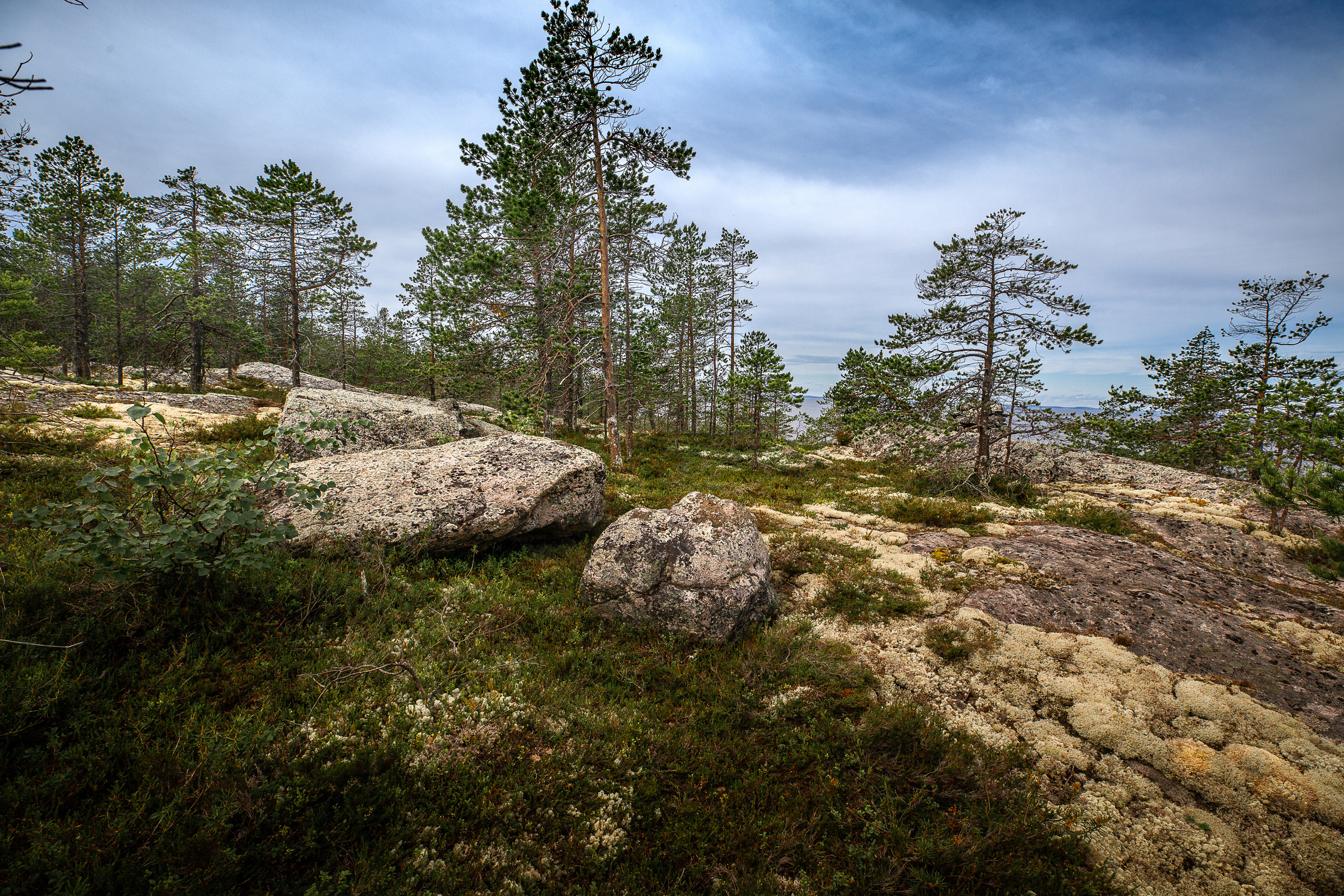 Остров Коткано́. Фотограф — путешественник Светлана Романовская