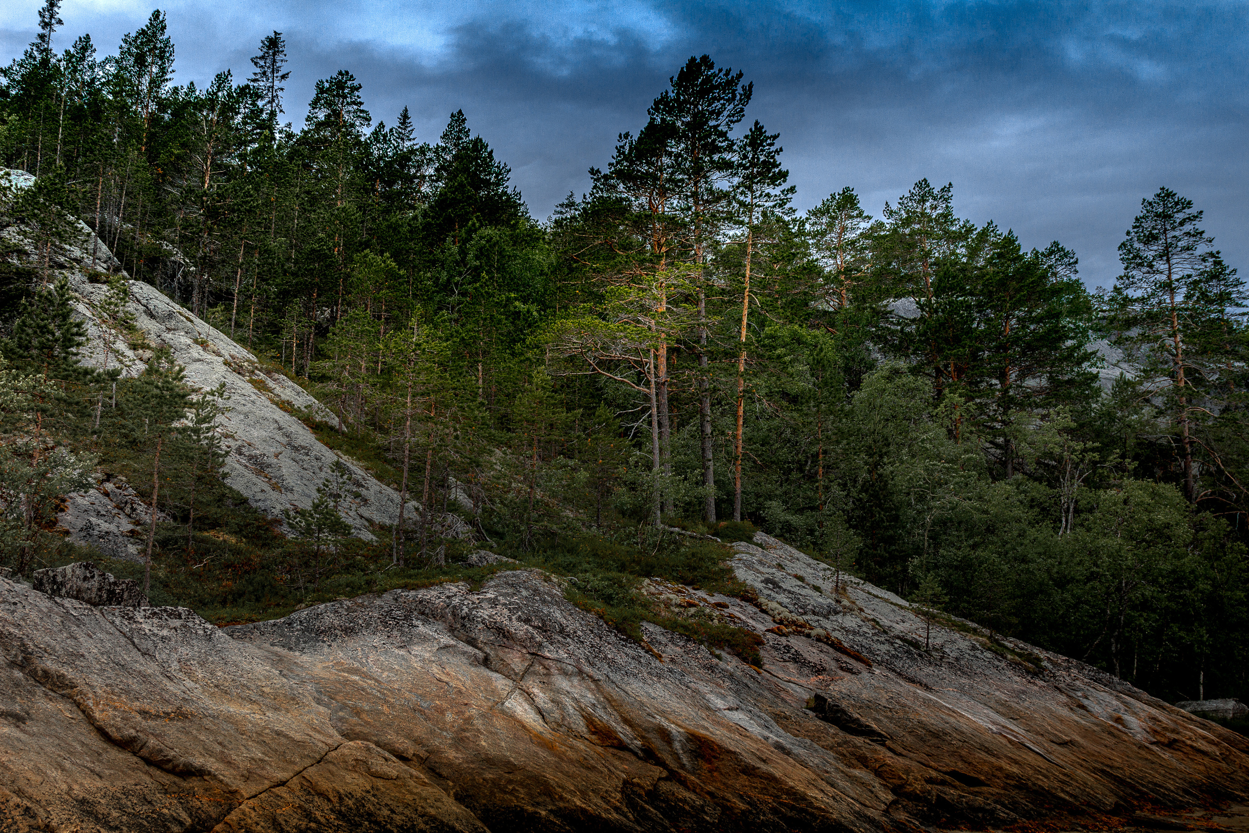 Остров Коткано́. Фотограф — путешественник Светлана Романовская
