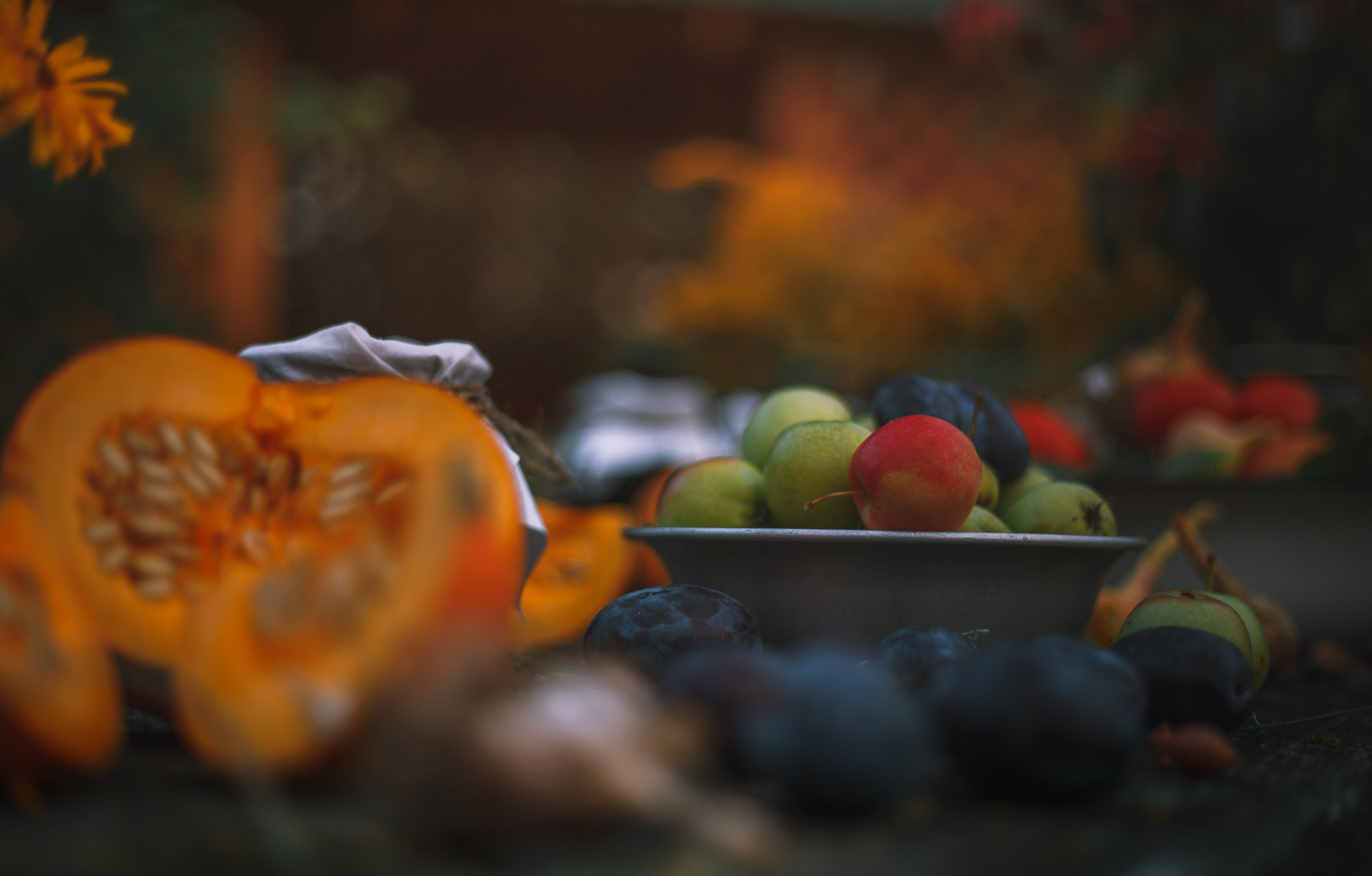 Д. Тарасонаволоцкая, Устьянский р-он, Архангельская область. Фотограф — путешественник Светлана Романовская