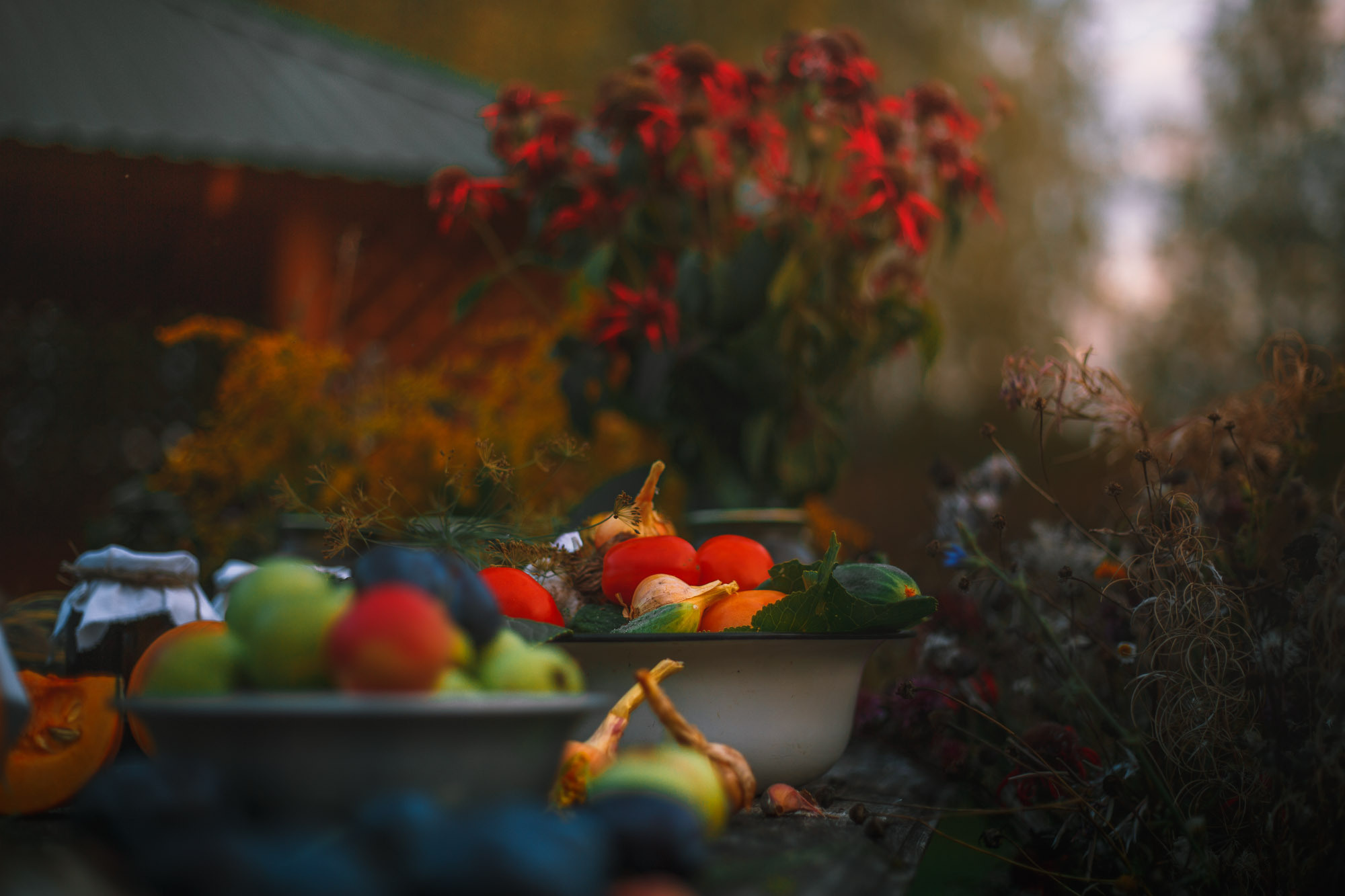 Д. Тарасонаволоцкая, Устьянский р-он, Архангельская область. Фотограф — путешественник Светлана Романовская