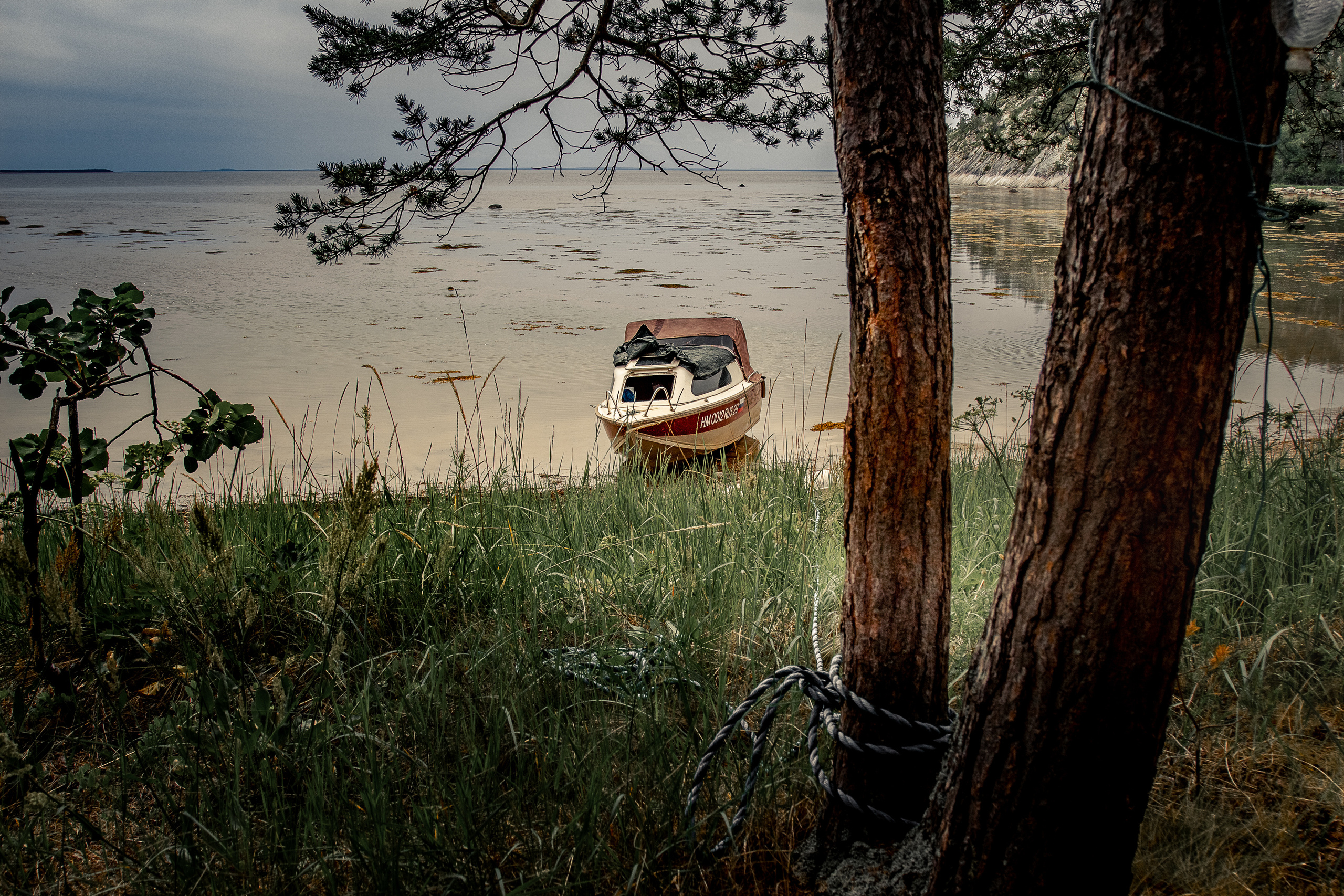 Остров Коткано́. Фотограф — путешественник Светлана Романовская