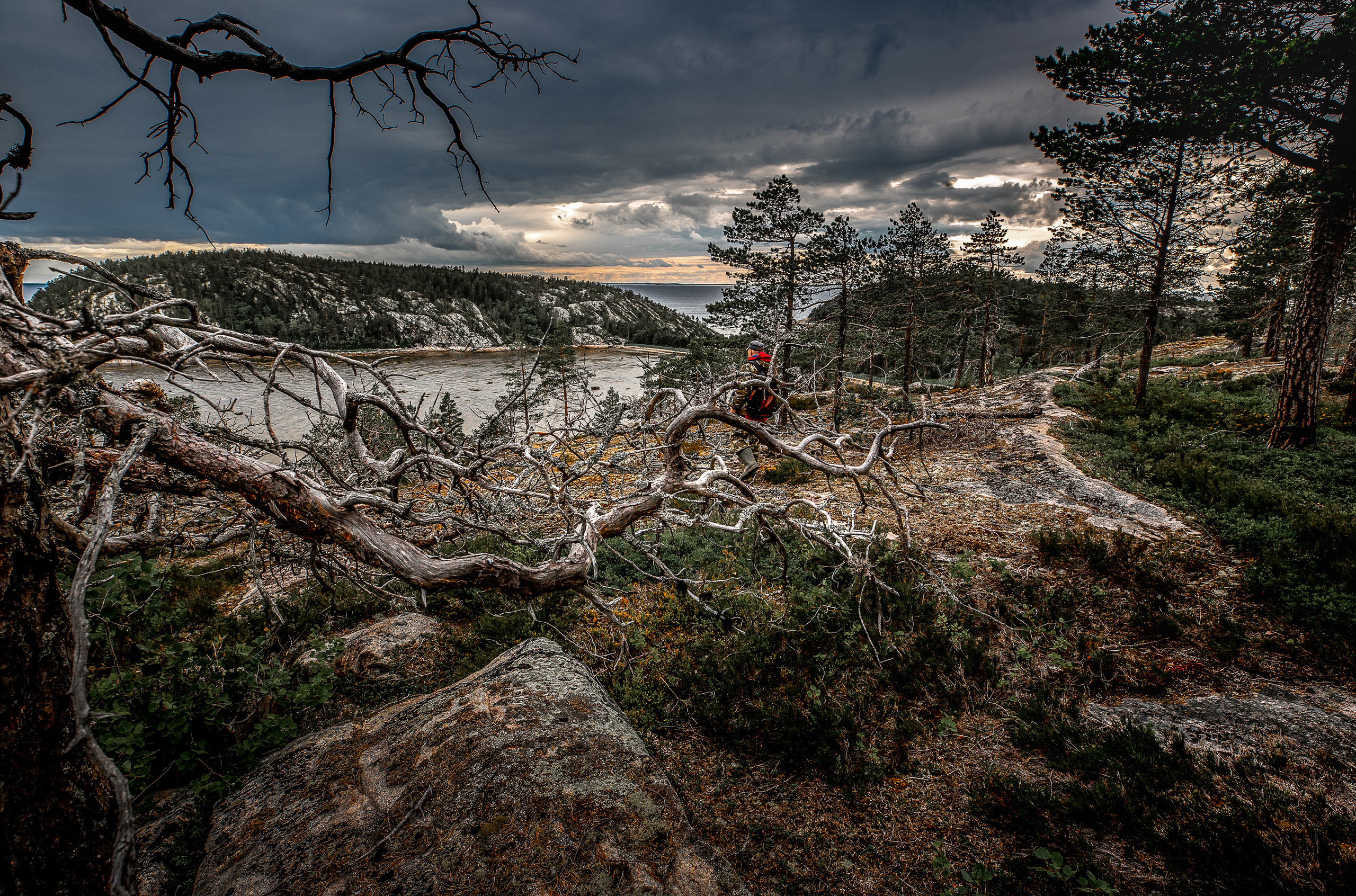 Остров Коткано́. Фотограф — путешественник Светлана Романовская
