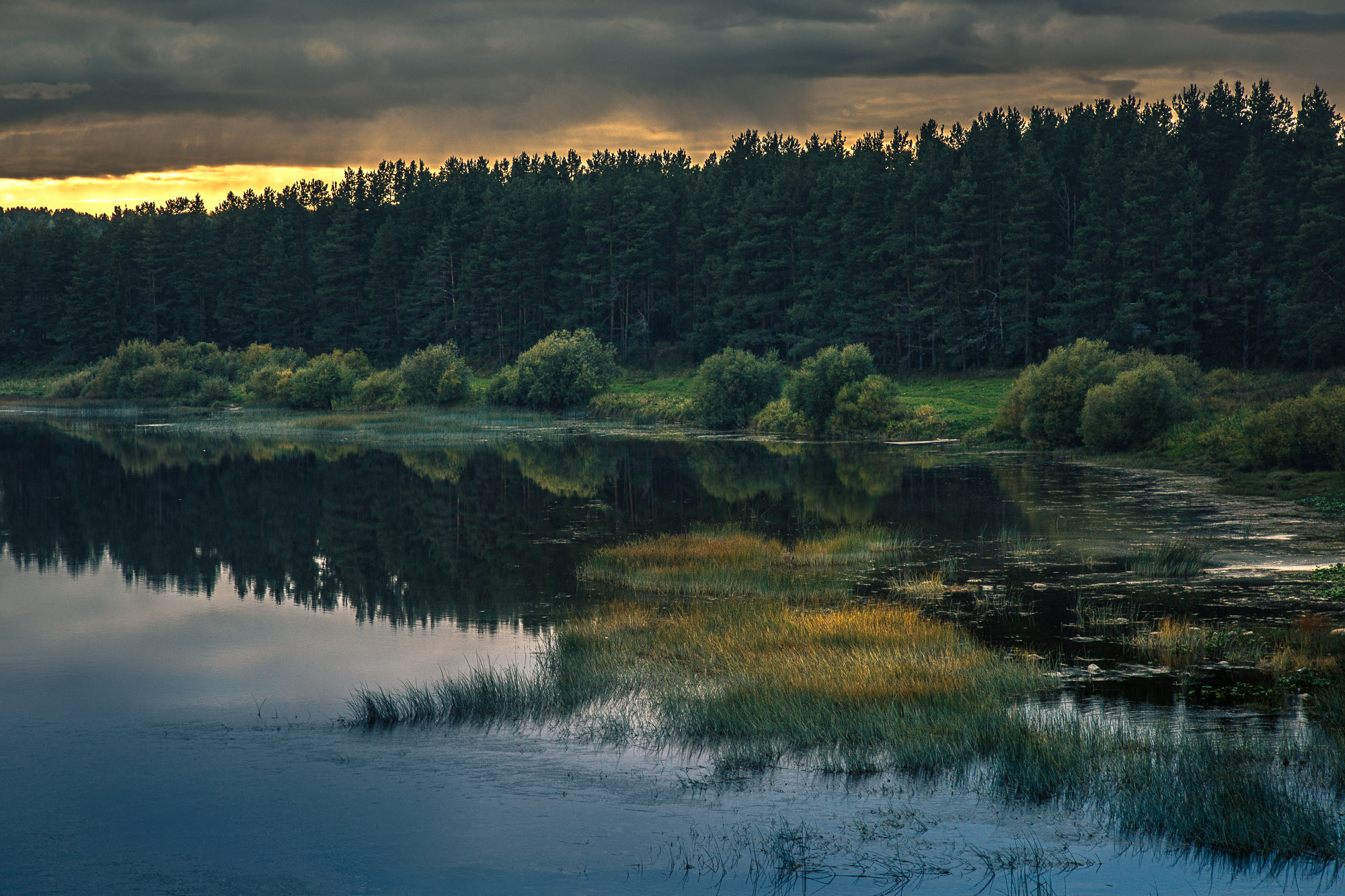 Д. Тарасонаволоцкая, Устьянский р-он, Архангельская область. Фотограф — путешественник Светлана Романовская