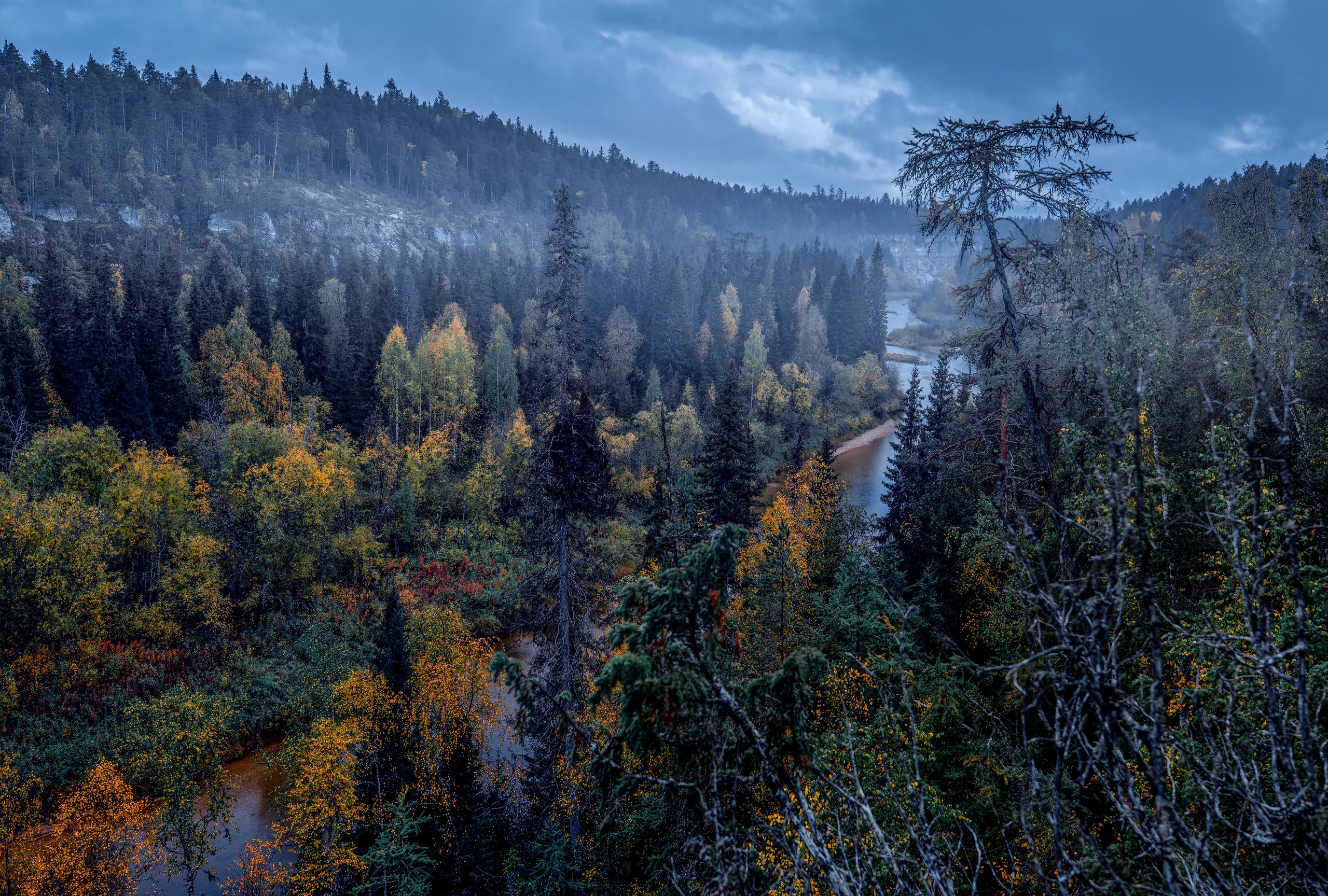 Речка Сотка Пинежский район. Фотограф — путешественник Светлана Романовская