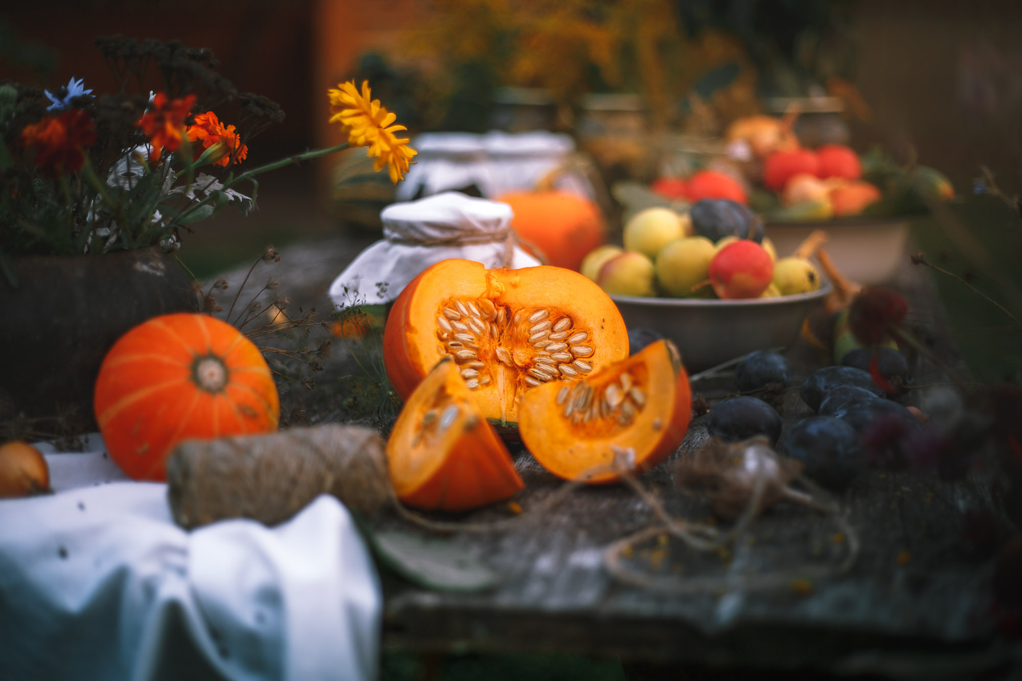 Д. Тарасонаволоцкая, Устьянский р-он, Архангельская область. Фотограф — путешественник Светлана Романовская