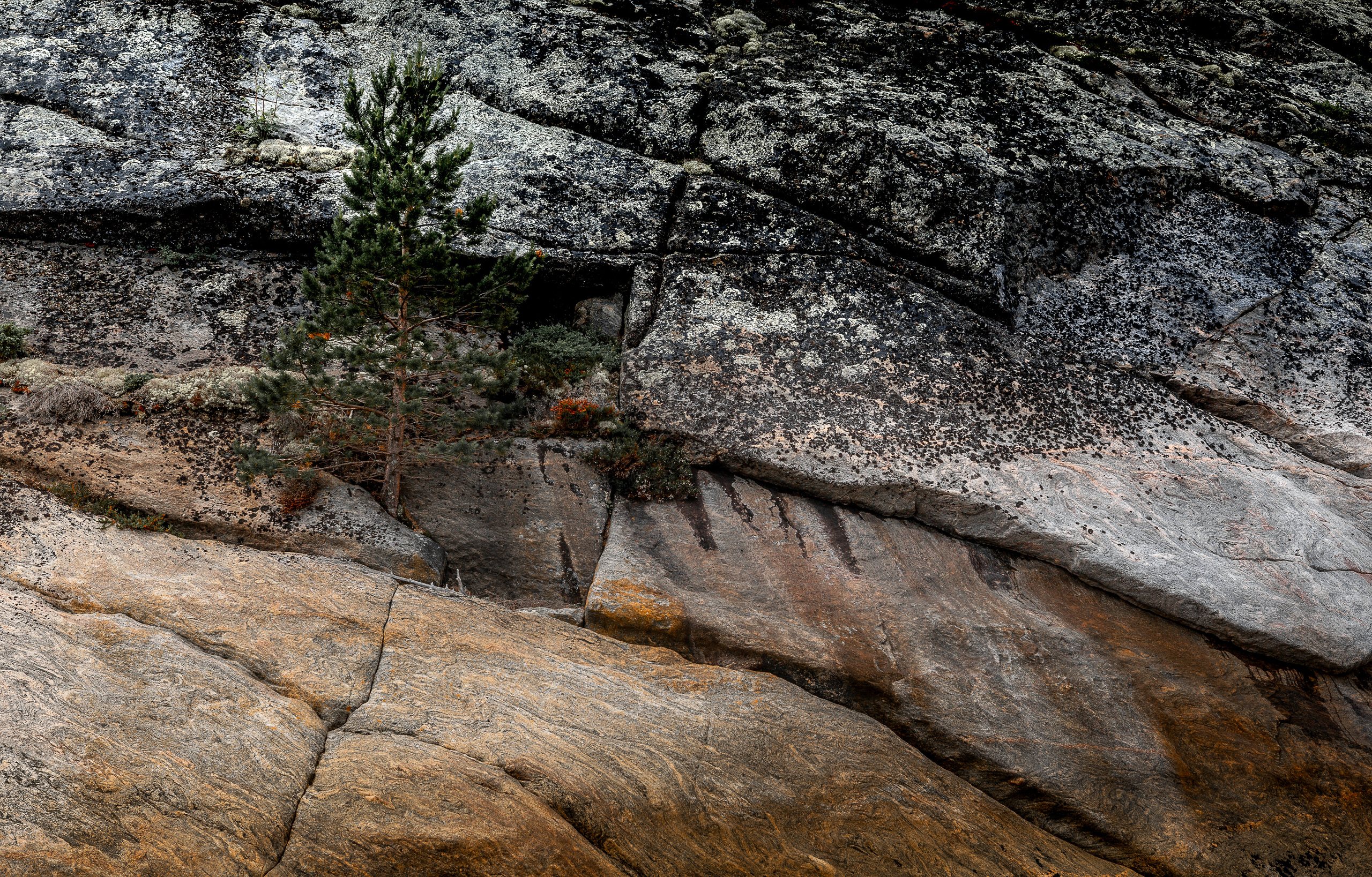 Остров Коткано́. Фотограф — путешественник Светлана Романовская