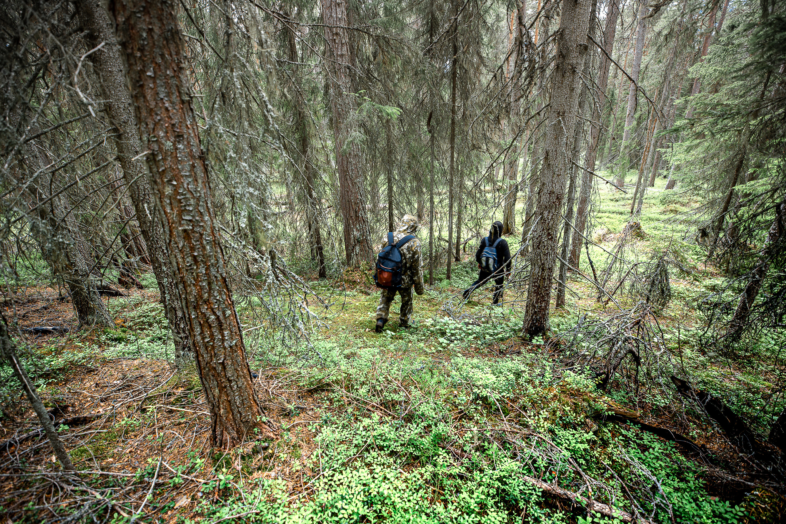 Остров Коткано́. Фотограф — путешественник Светлана Романовская